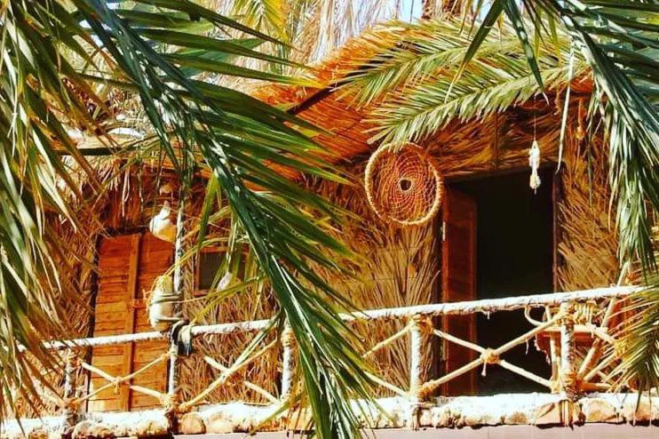 Shamofs Farm