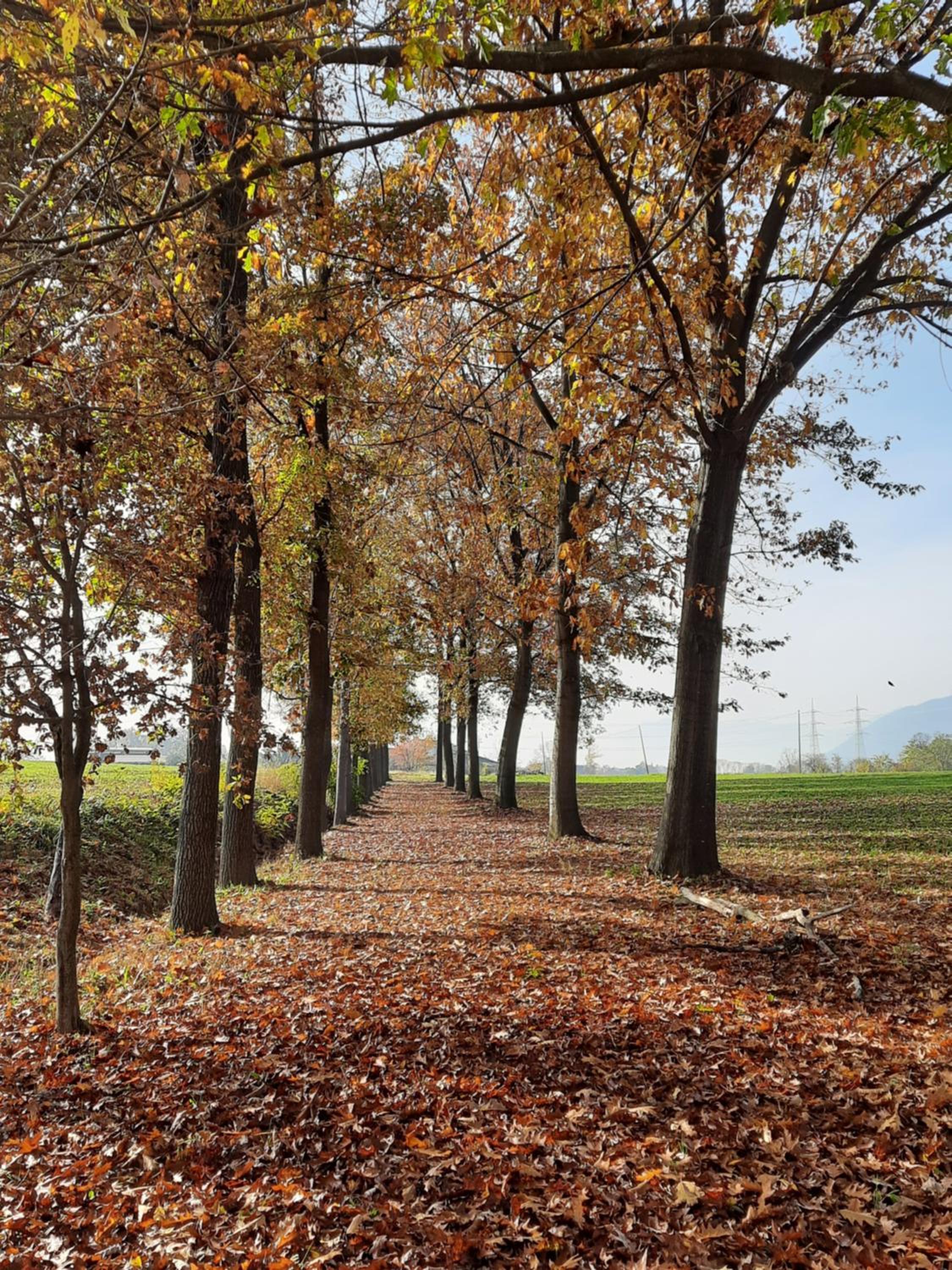 Cascina Cortese view 2