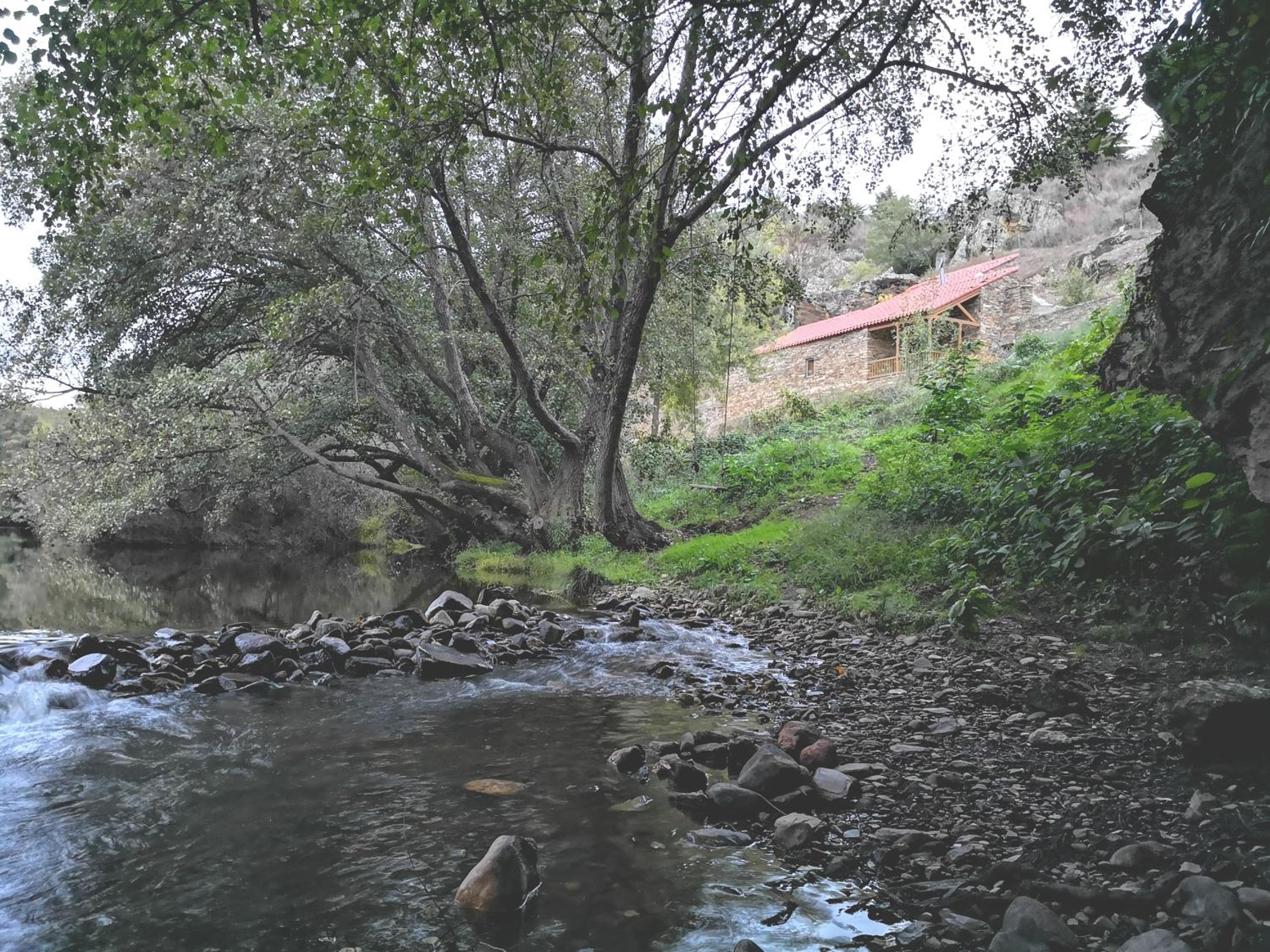 Photo 13