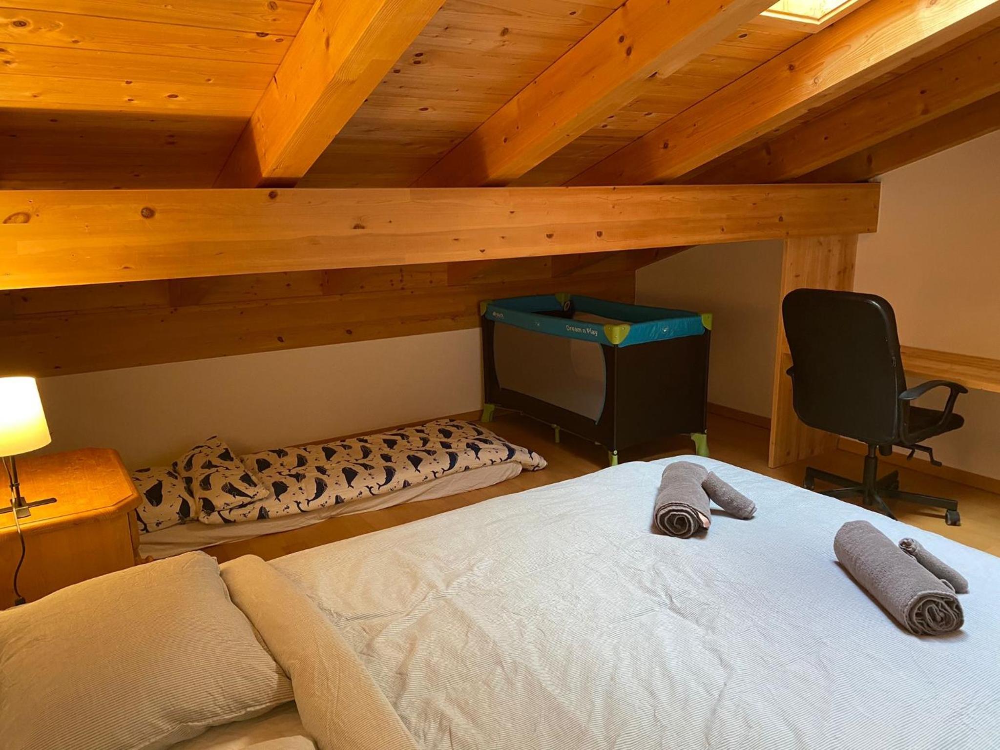 Attic in the Alps