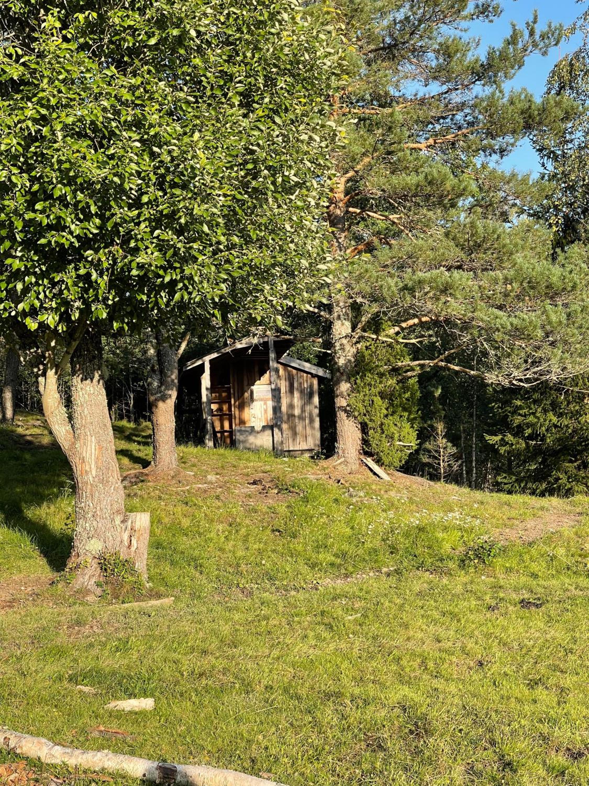 koselig liten hytte i Skien view 4
