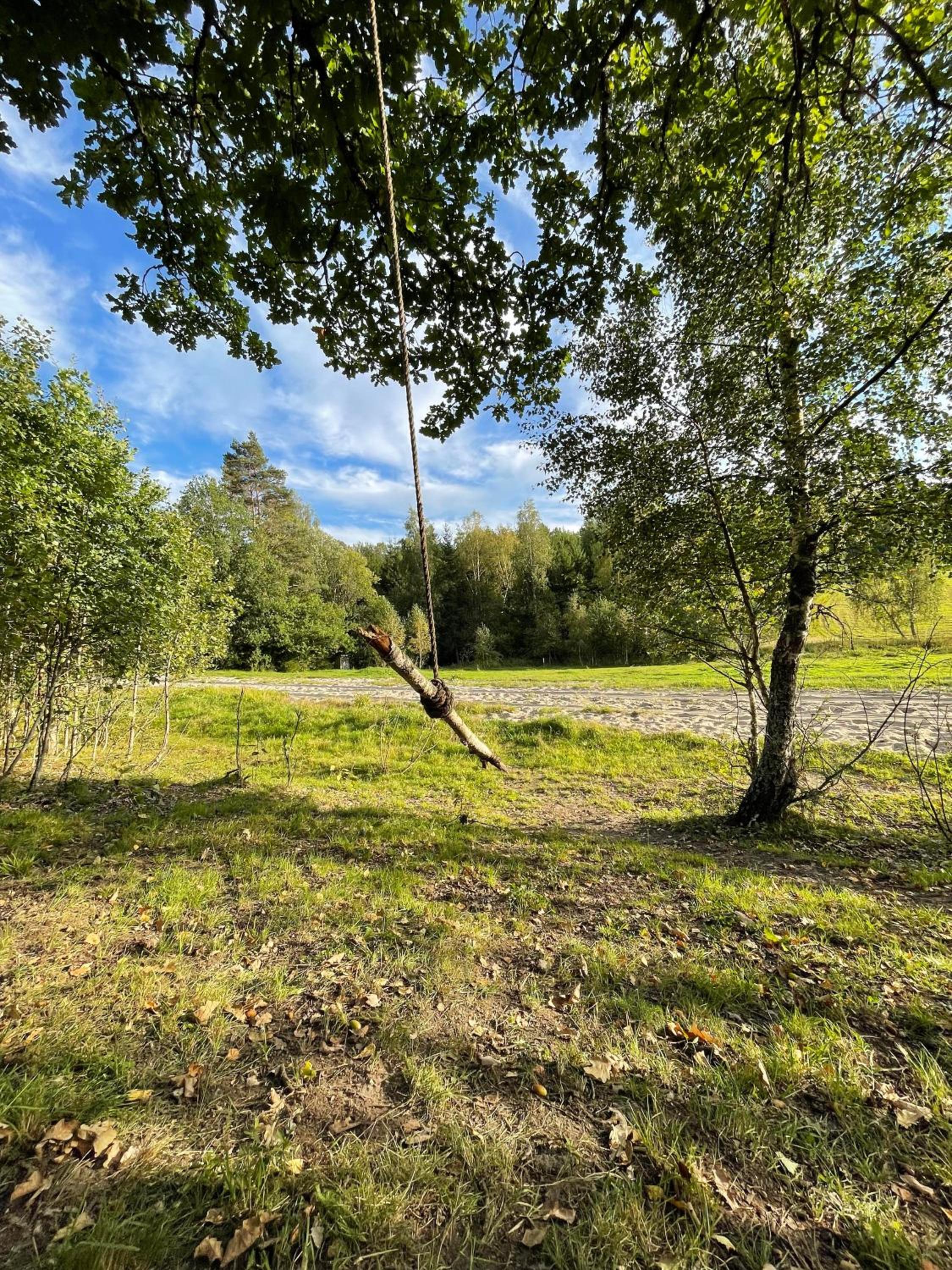 Photo 23