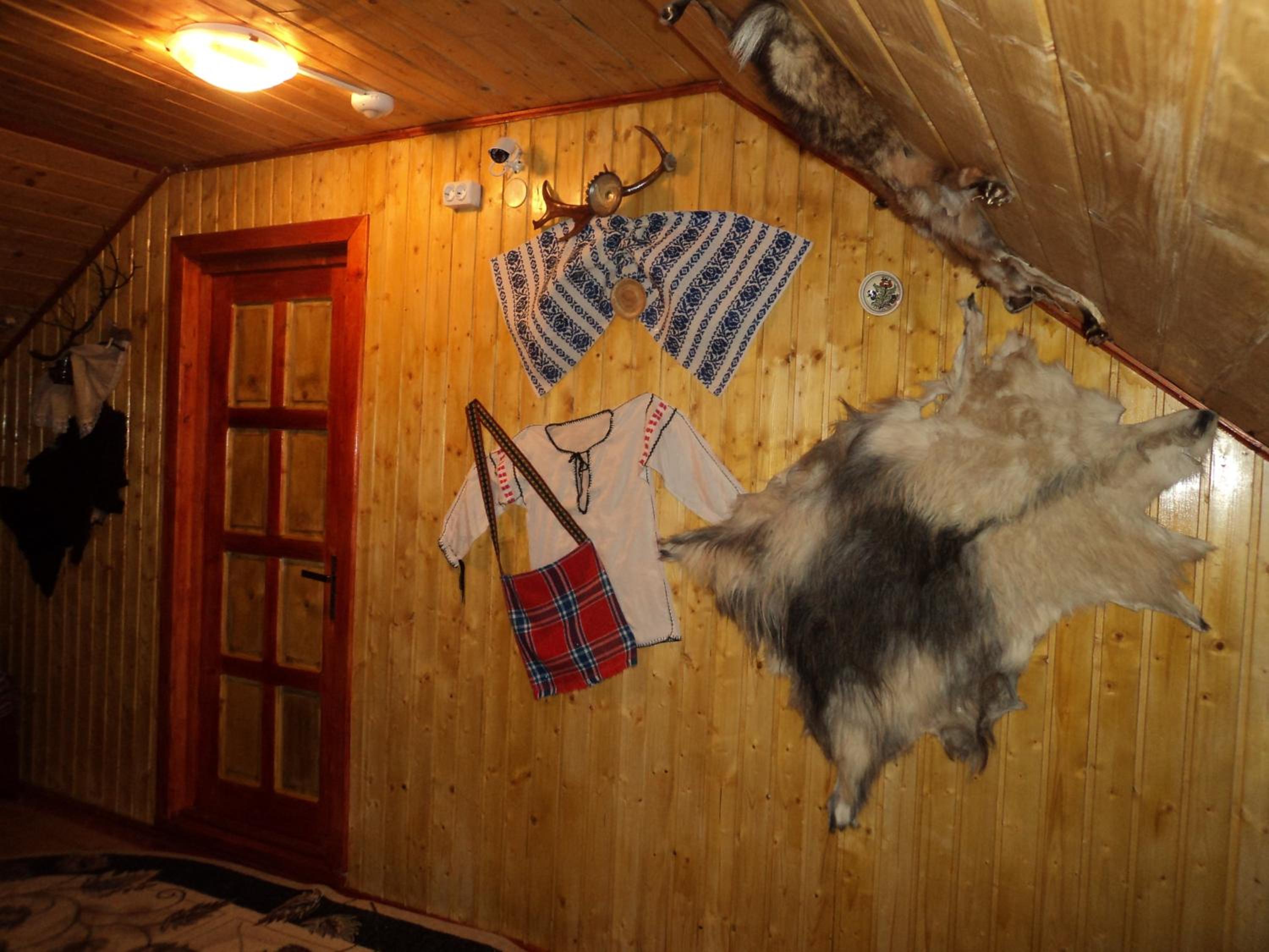 Photo 47