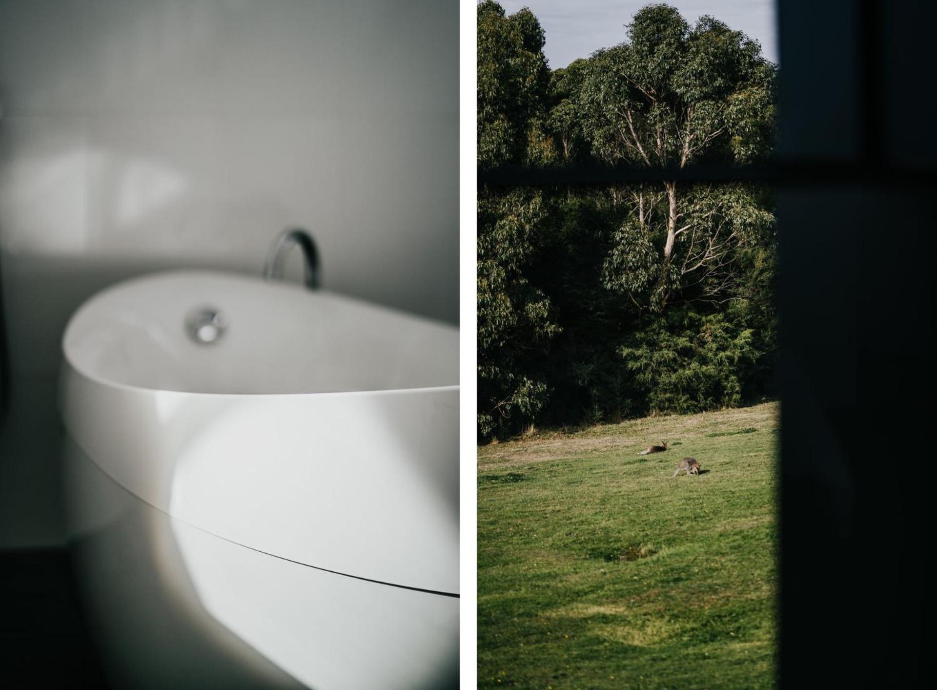 Alkina Lodge Mira