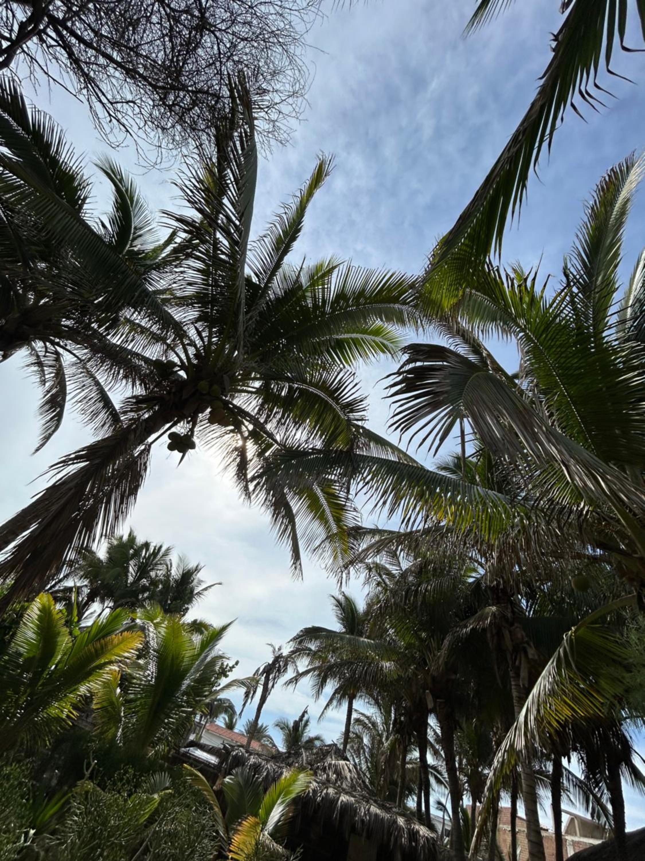 Casita Kahuna Máncora