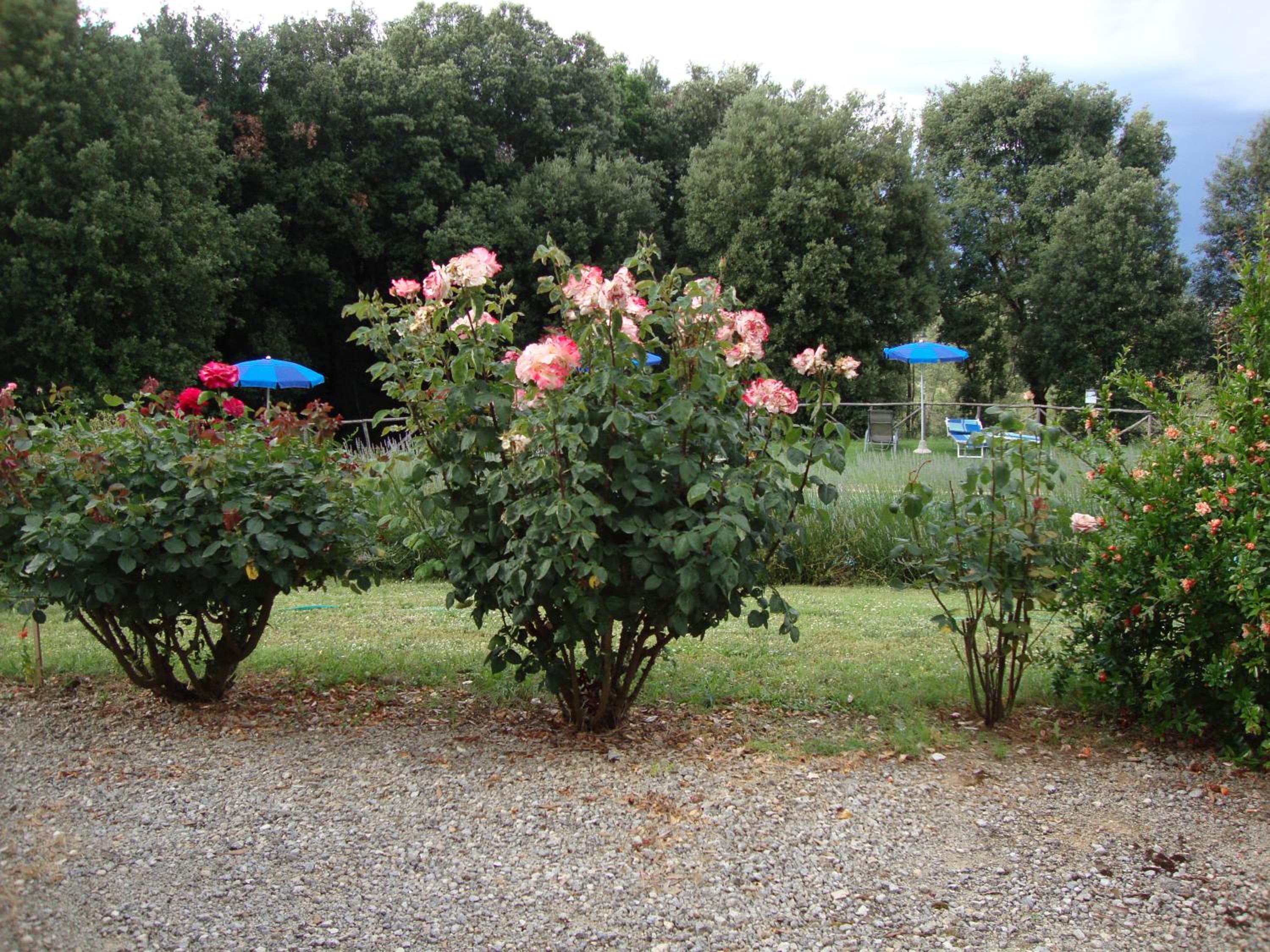 Agriturismo Tre Madonne view 5