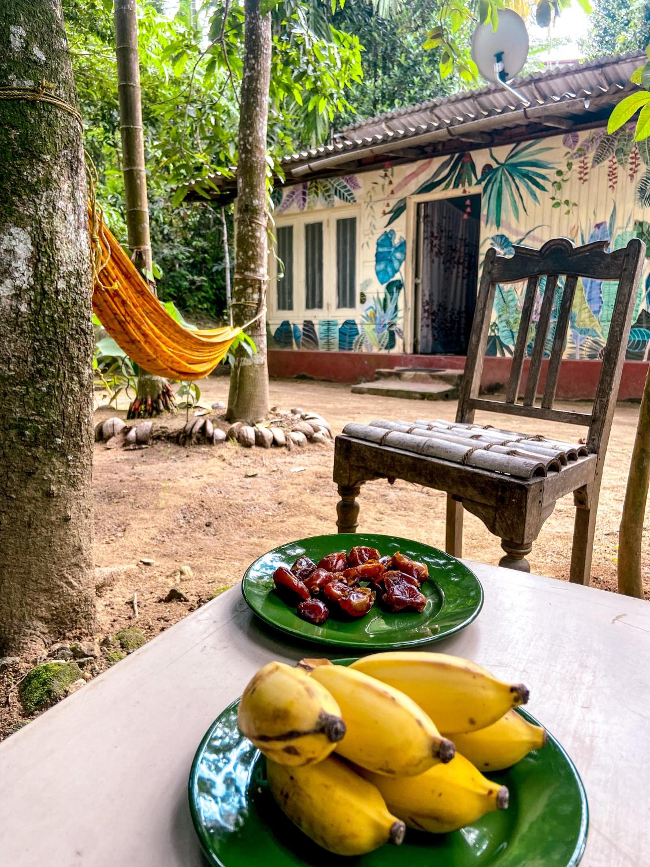 Nature Lovers' Hostel view 5
