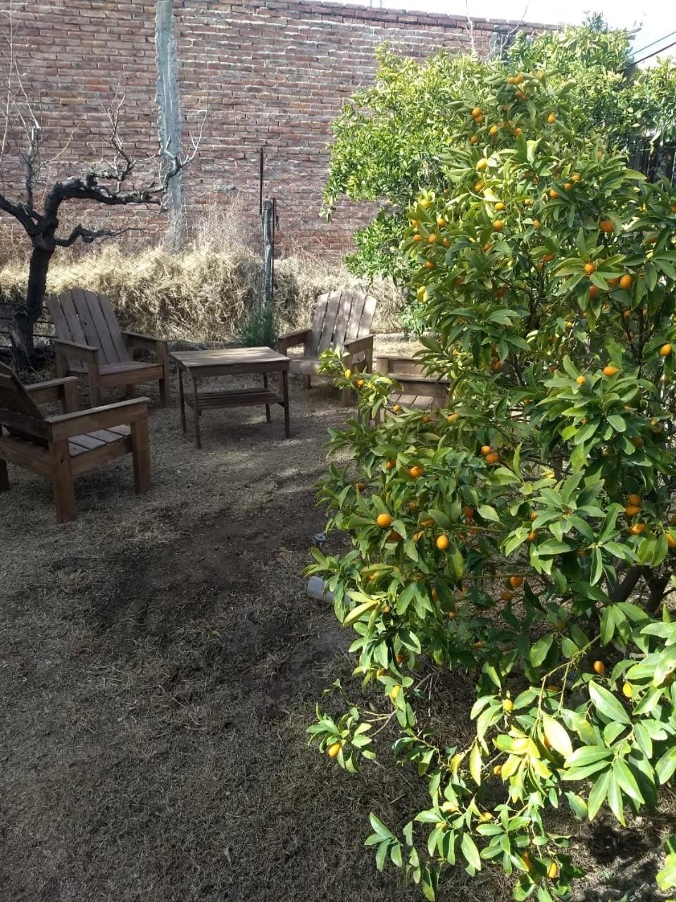 CASA LABERINTO DE BORGES EN SAN RAFAEL PARA 6 PERSONAS