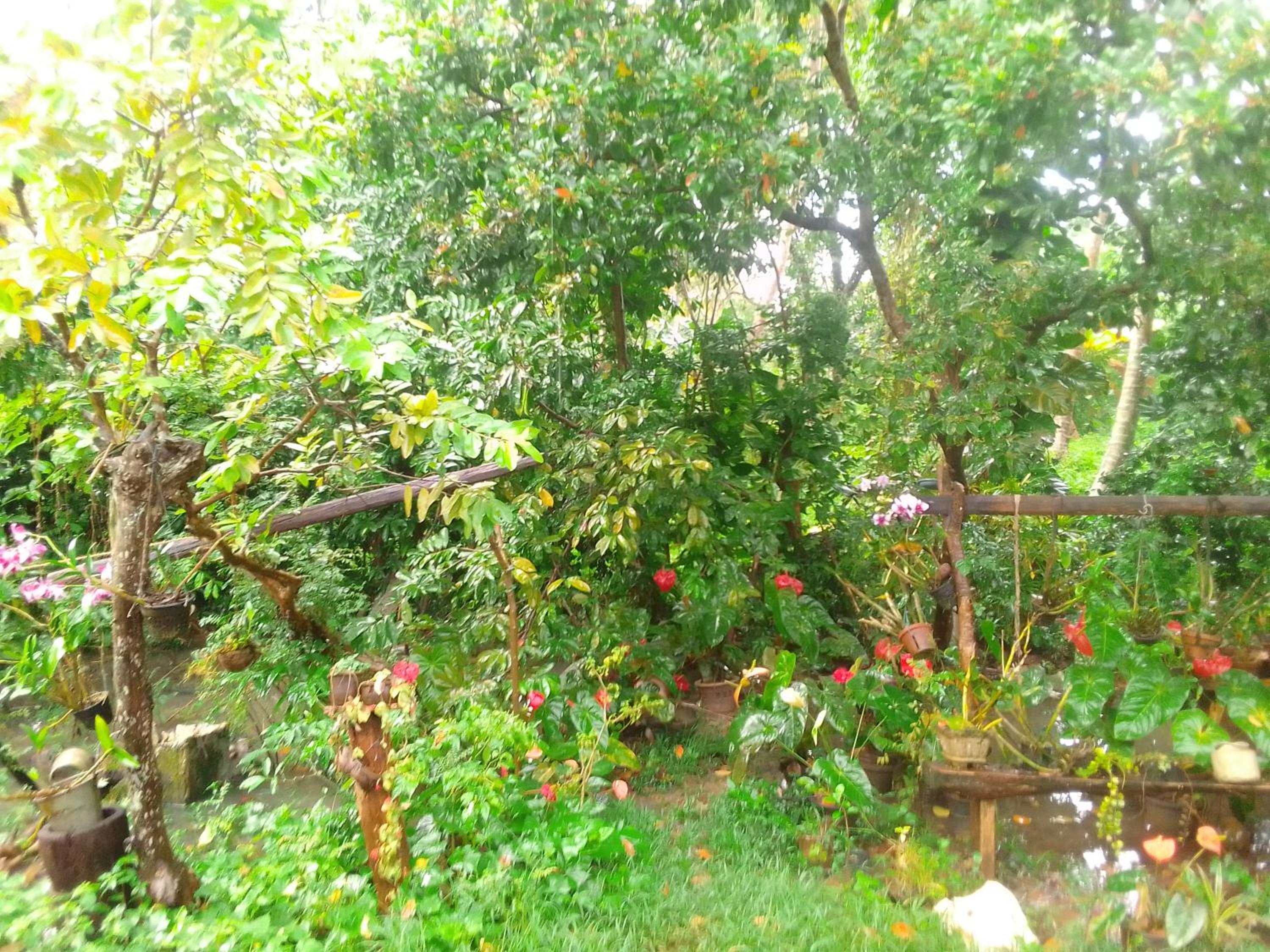 Sugaya view 5