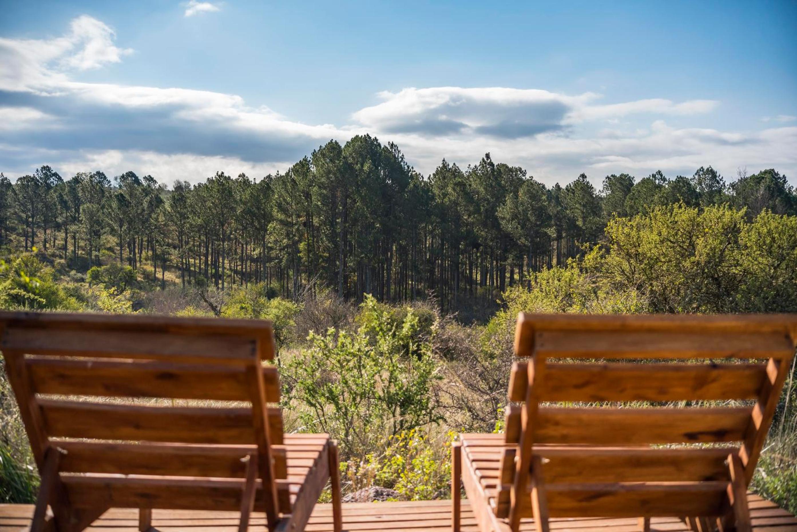GLAMPING TICA NATIVO
