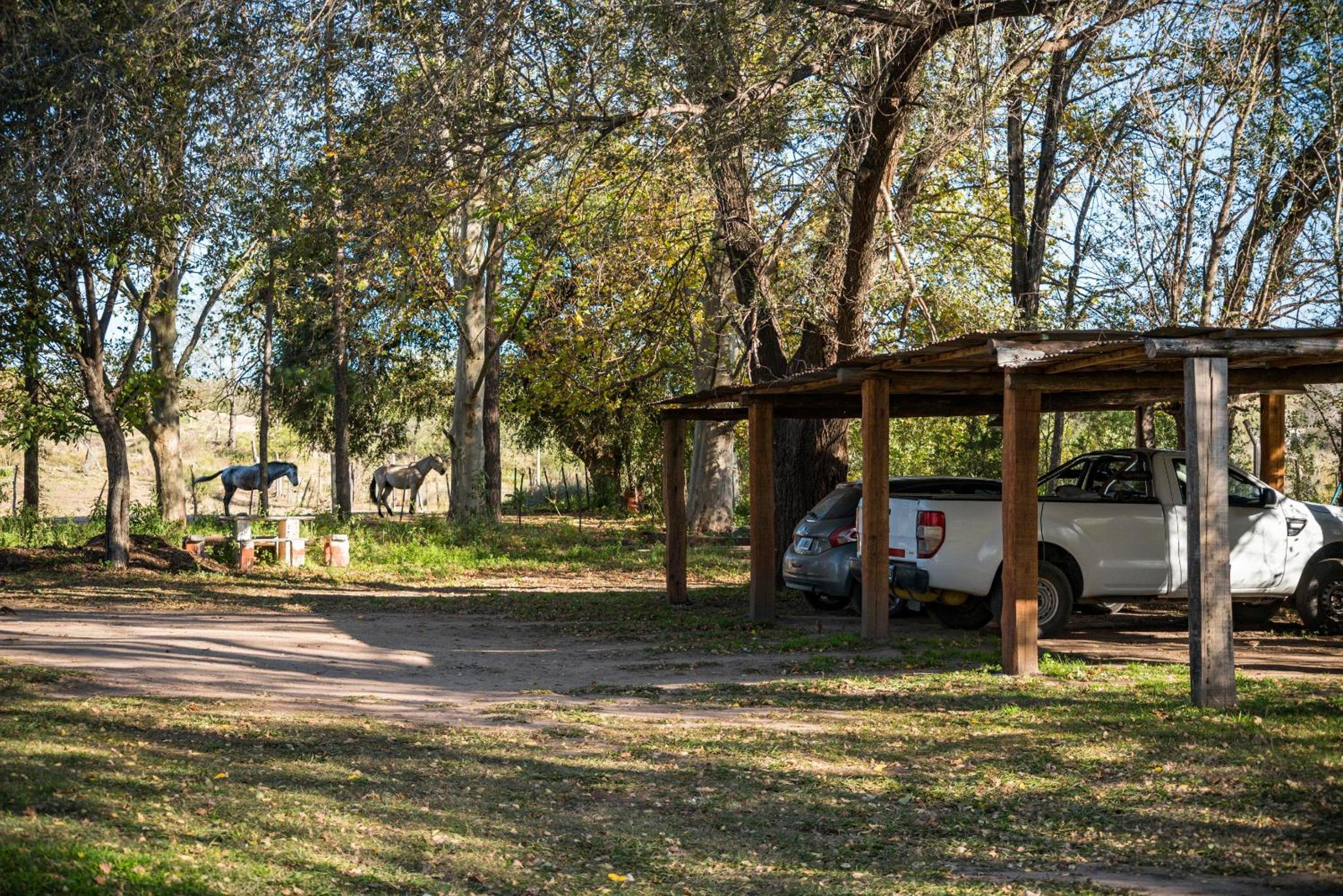 GLAMPING TICA NATIVO