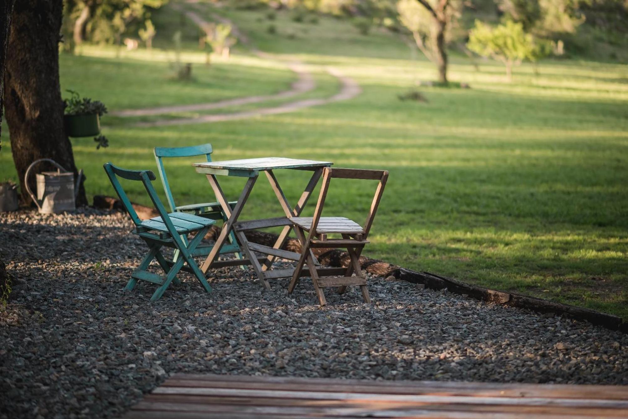 GLAMPING TICA NATIVO