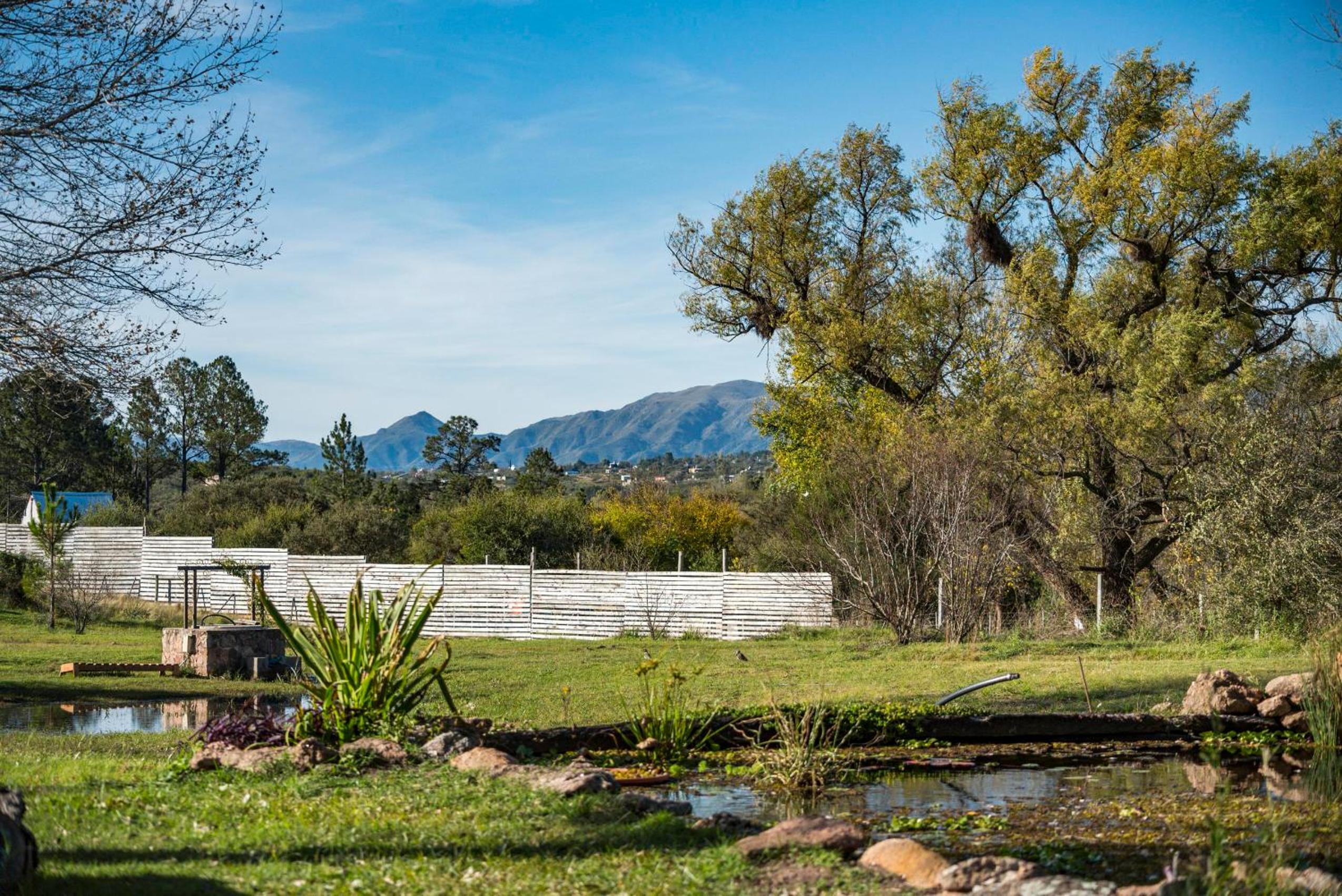 GLAMPING TICA NATIVO