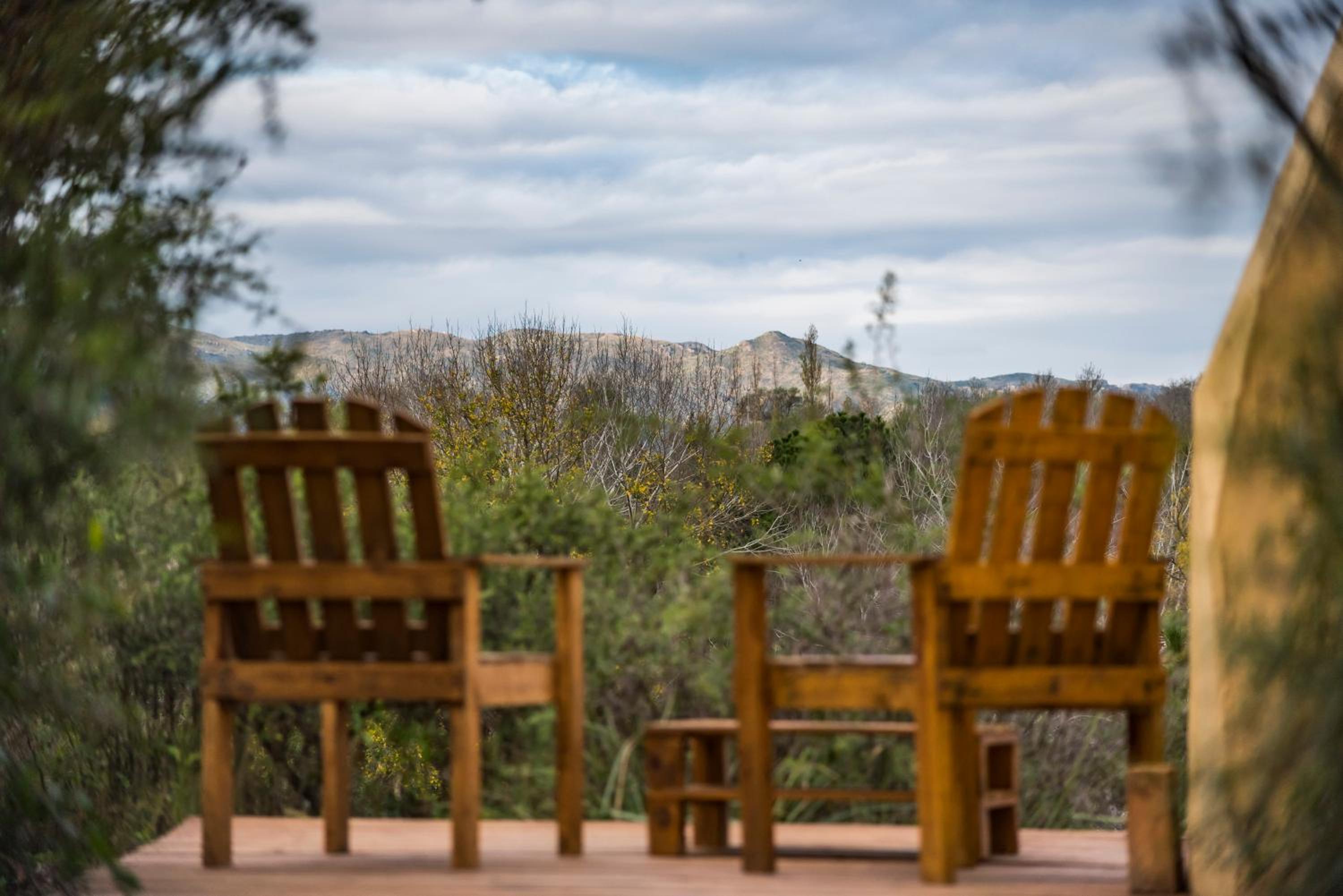 GLAMPING TICA NATIVO