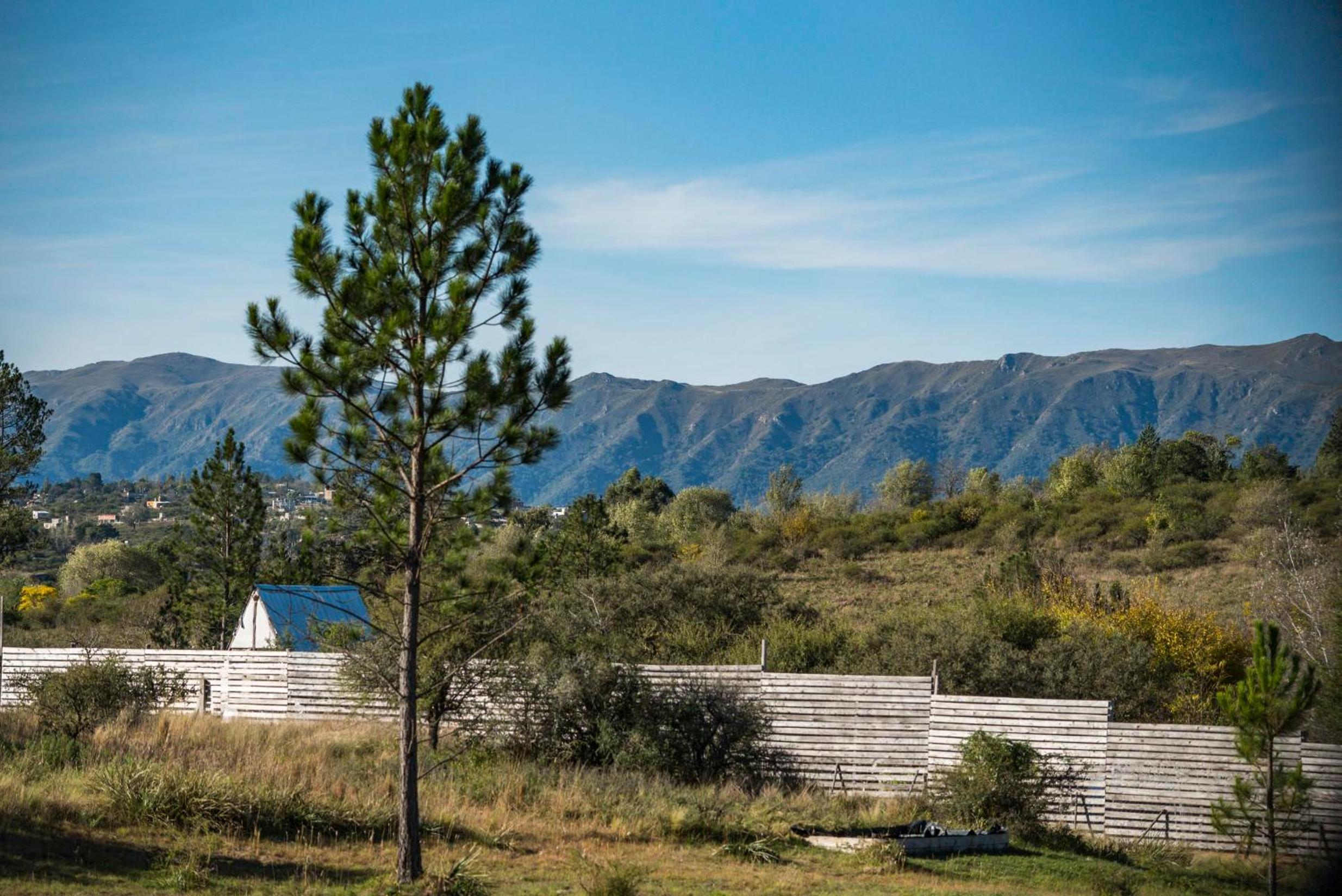 GLAMPING TICA NATIVO