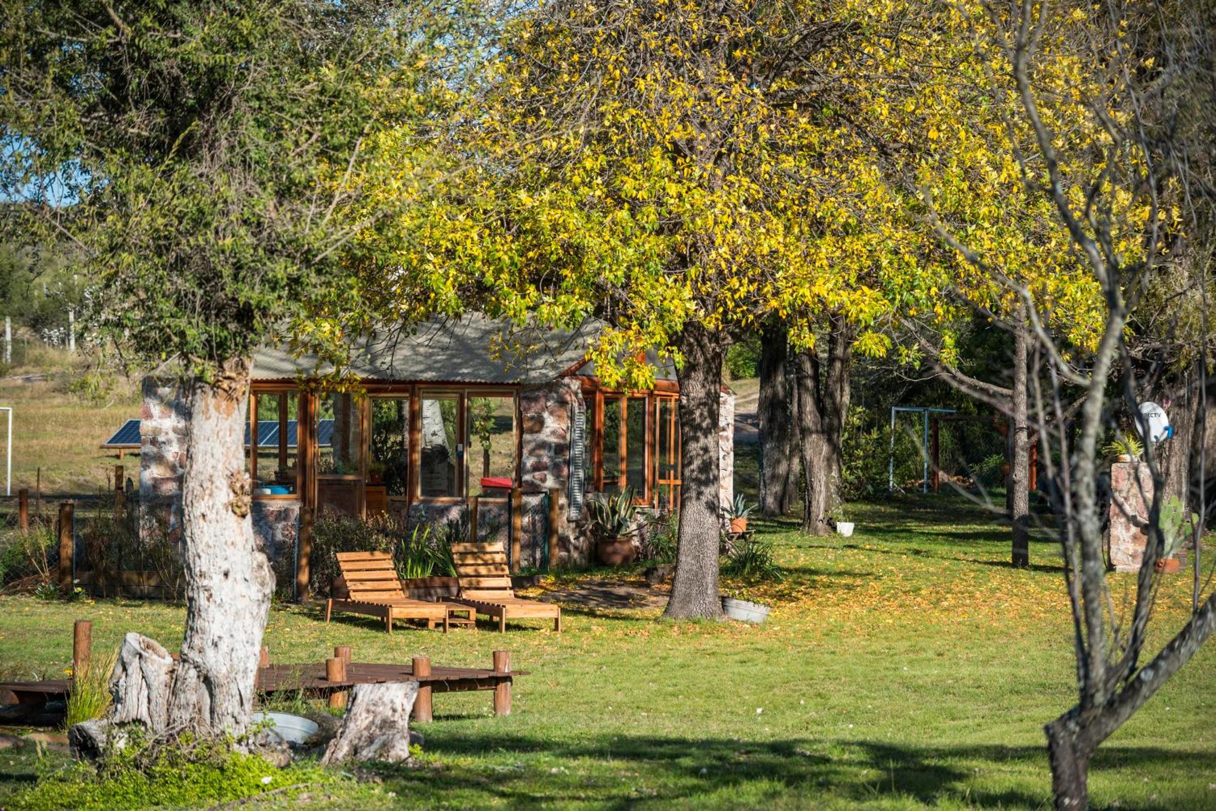 GLAMPING TICA NATIVO