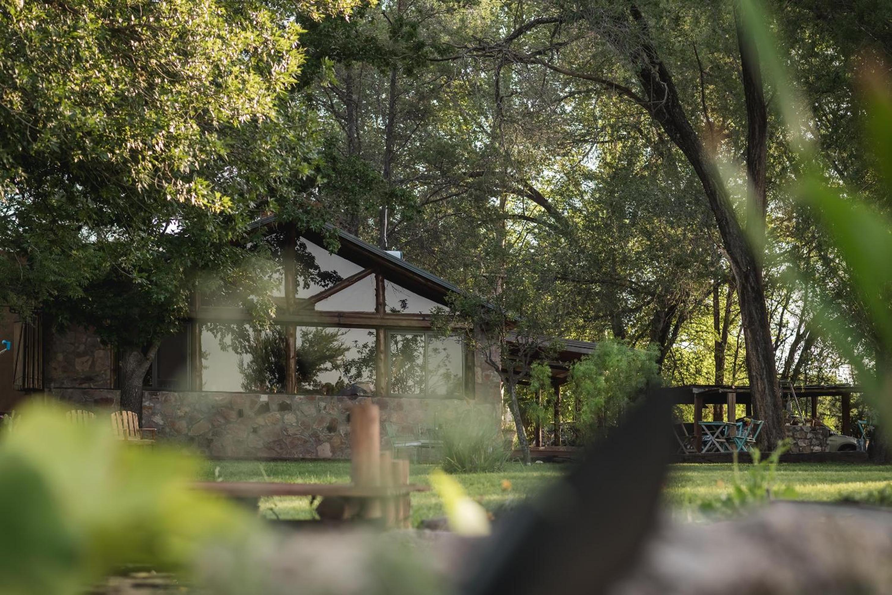 GLAMPING TICA NATIVO