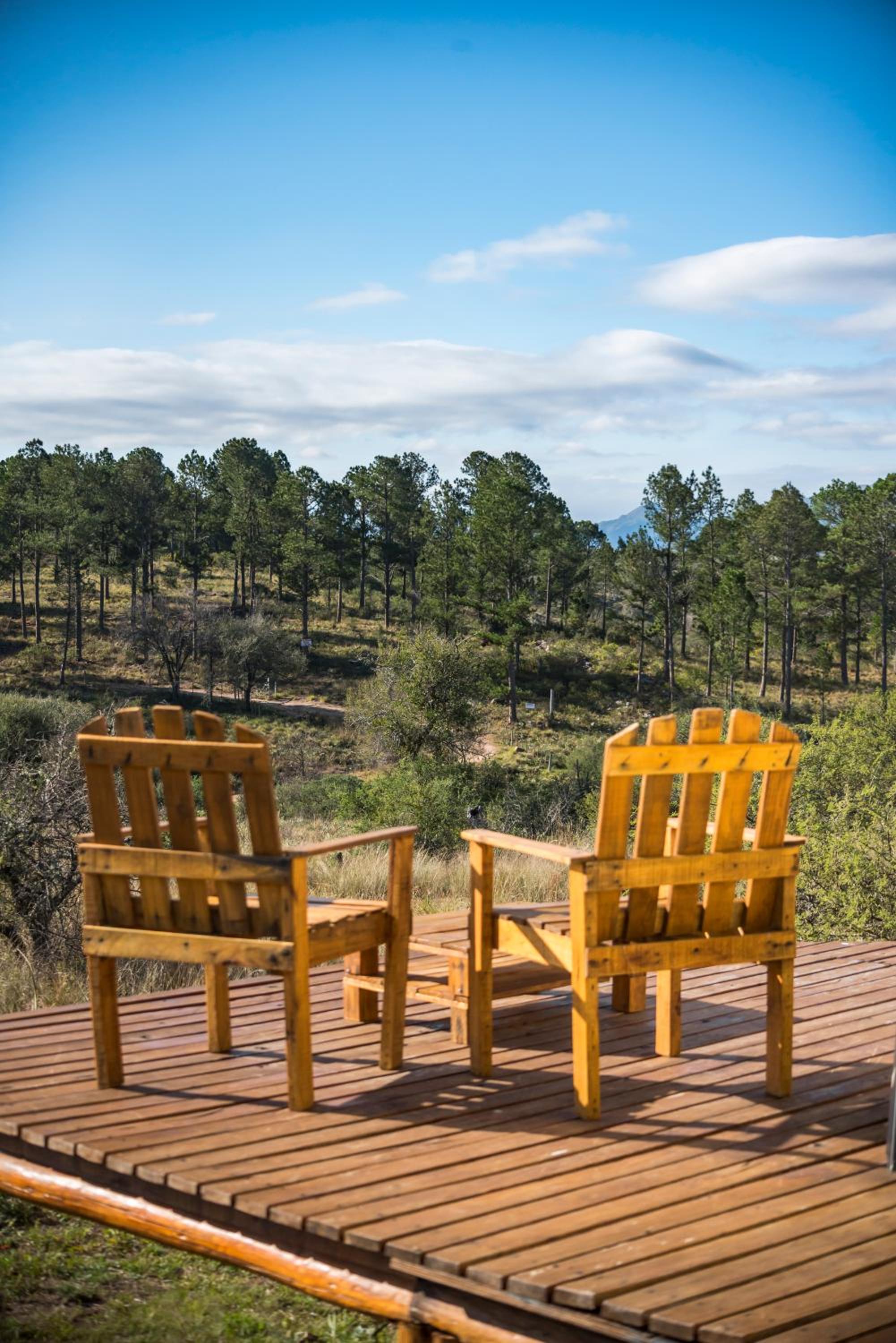 GLAMPING TICA NATIVO