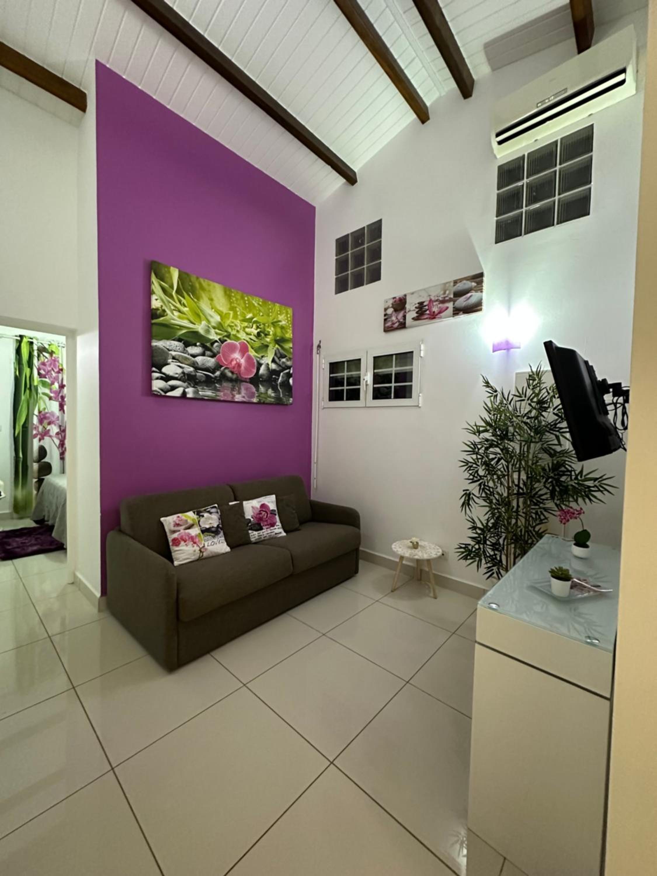 Appartement Coeur de Papillon view 5