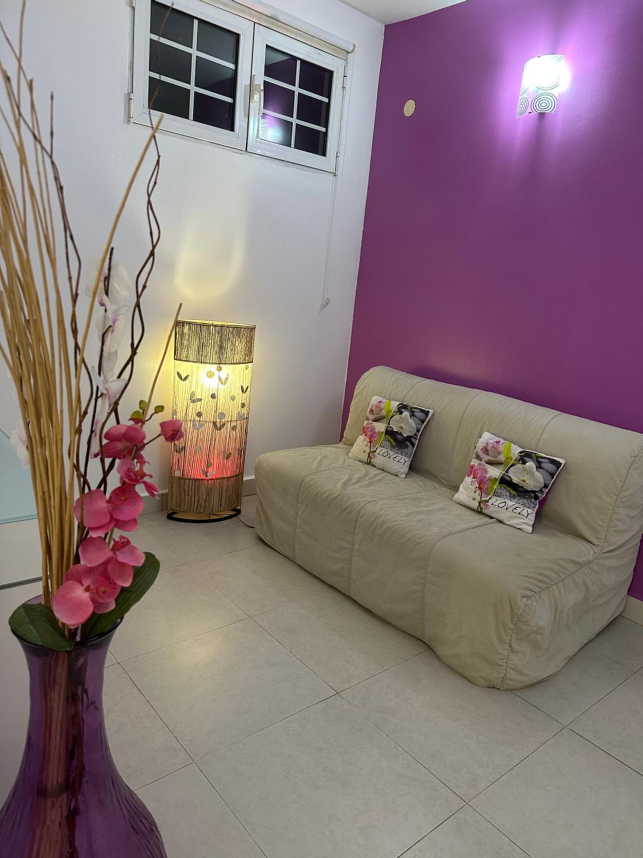 Appartement Coeur de Papillon view 4
