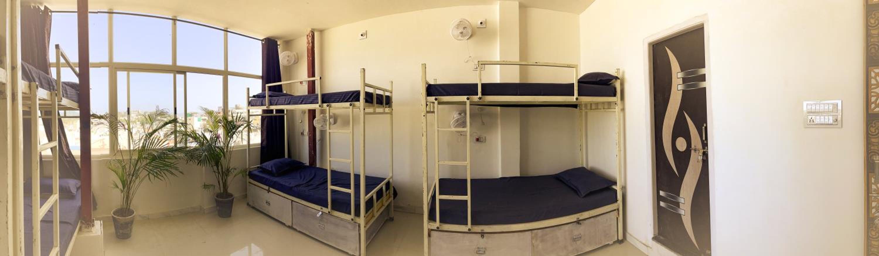 Mild Life Hostel Udaipur