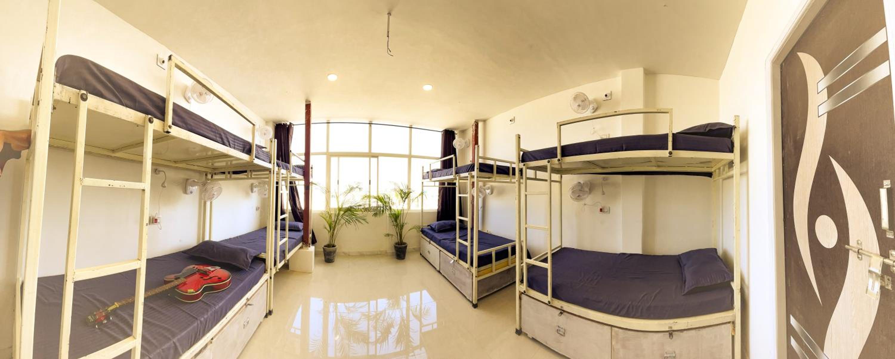 Mild Life Hostel Udaipur