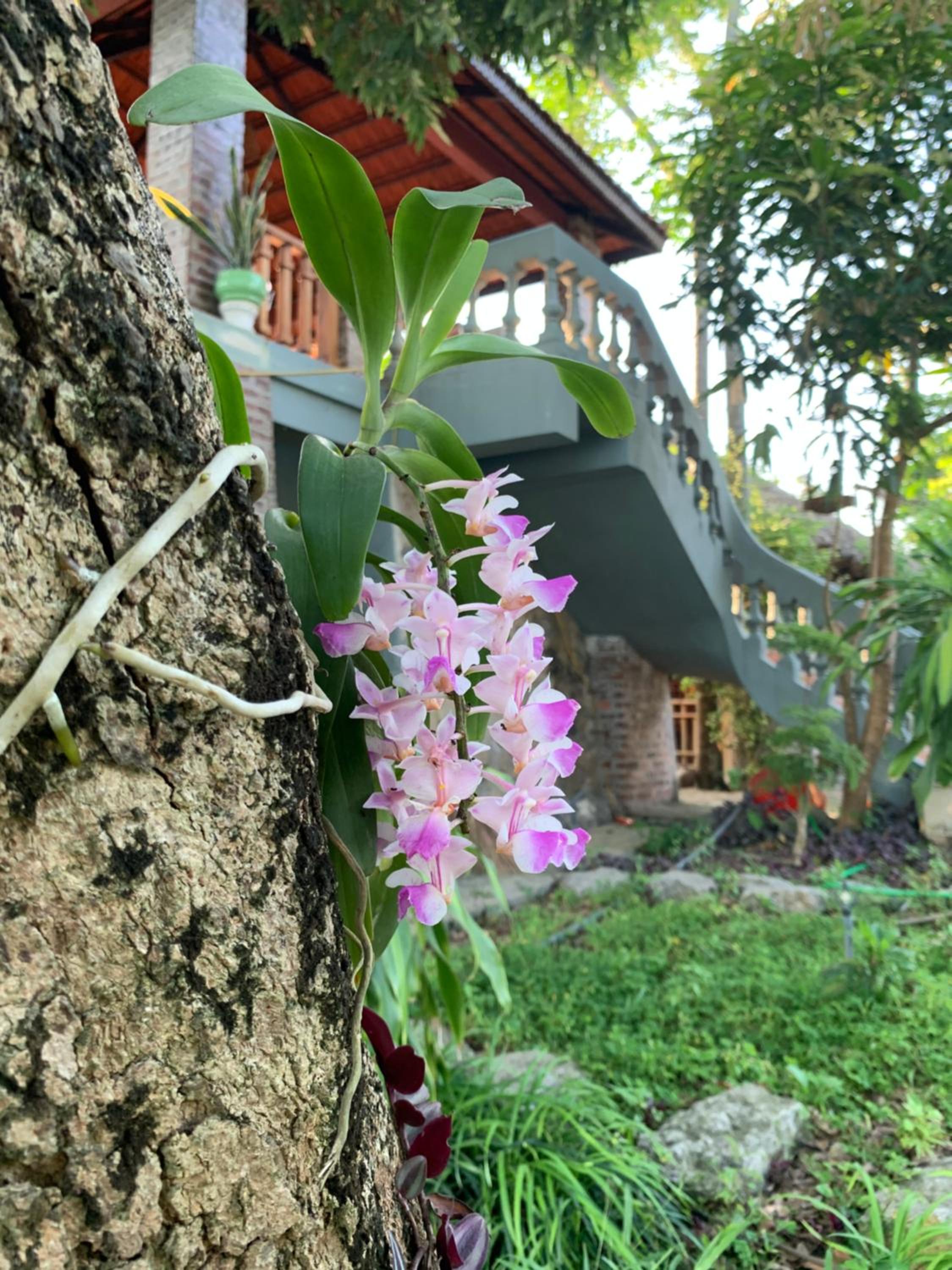Đinh Gia Home Villa & Resort