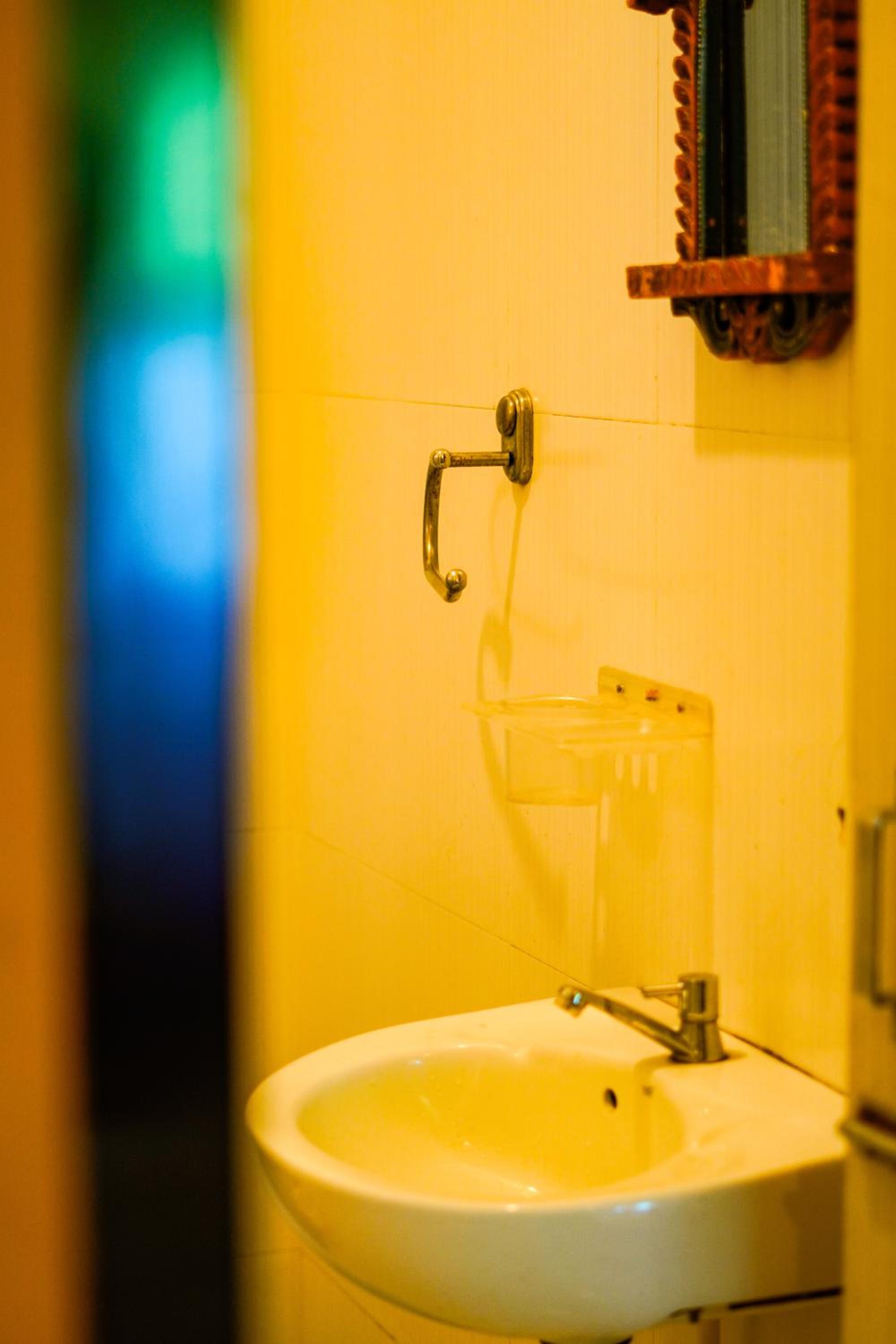 Mild Life Hostel Udaipur