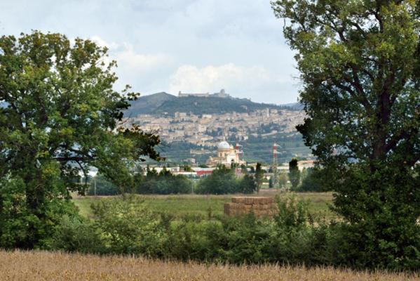 Agriturismo Bellarosa