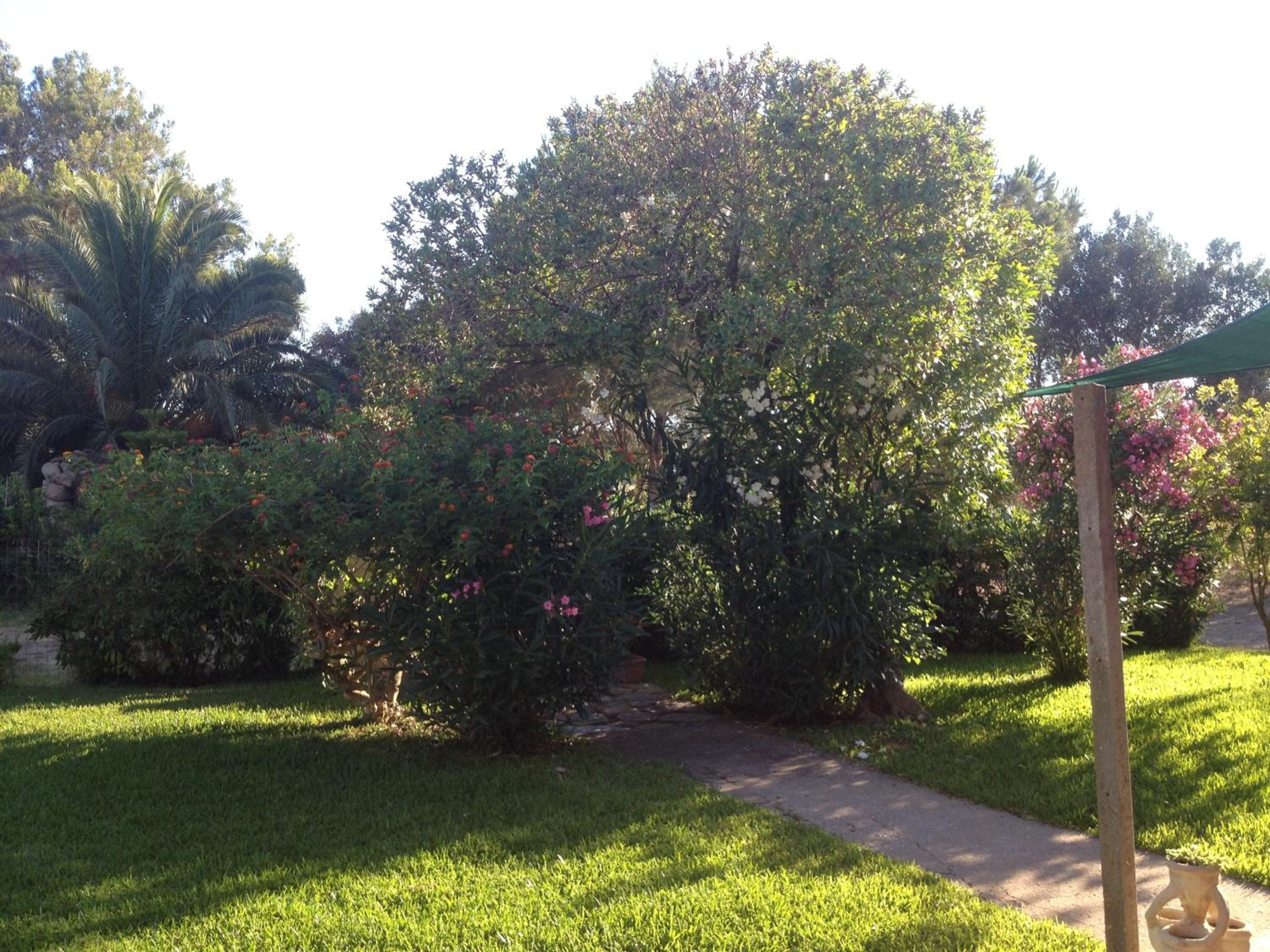 La Contea view 5