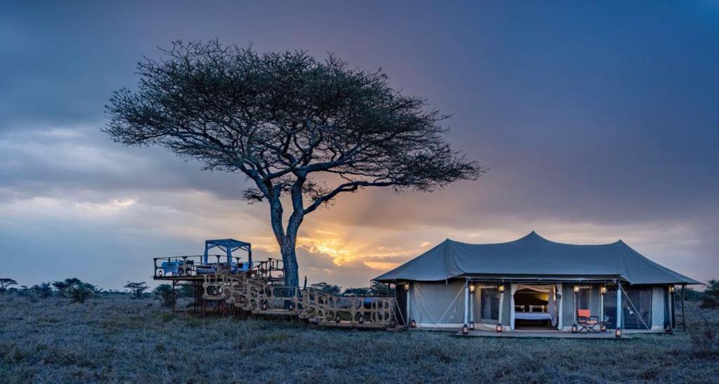 Olmara Camp view 3