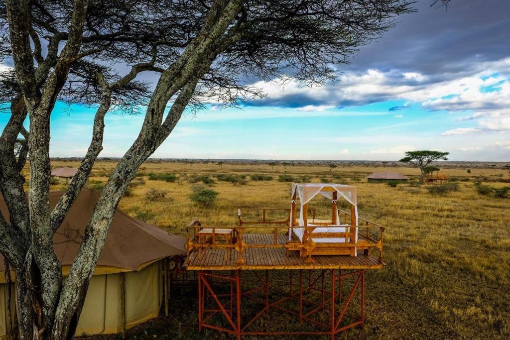 Olmara Camp view 5