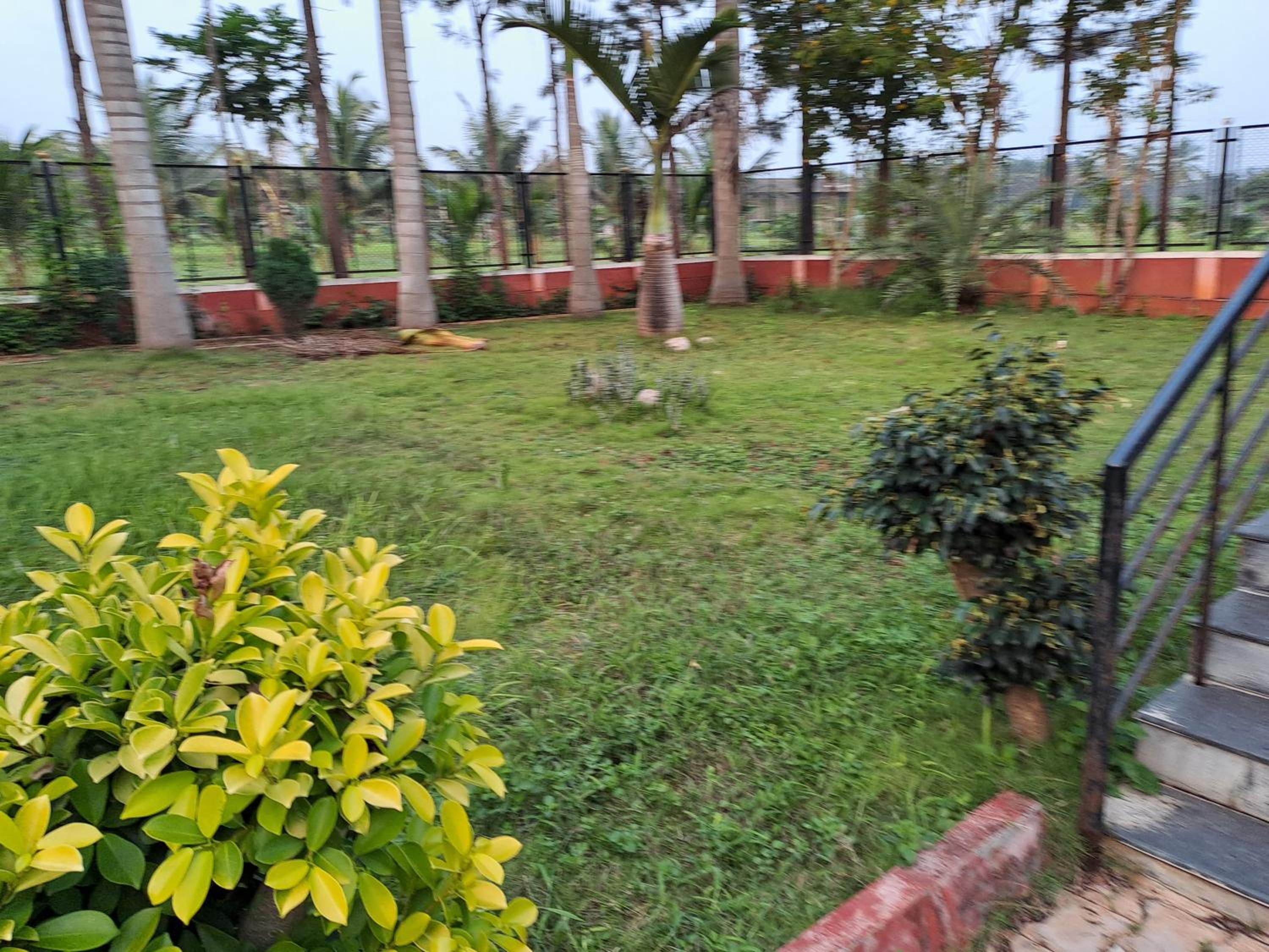 Kolluri Nest Farm villa airport mysuru view 2