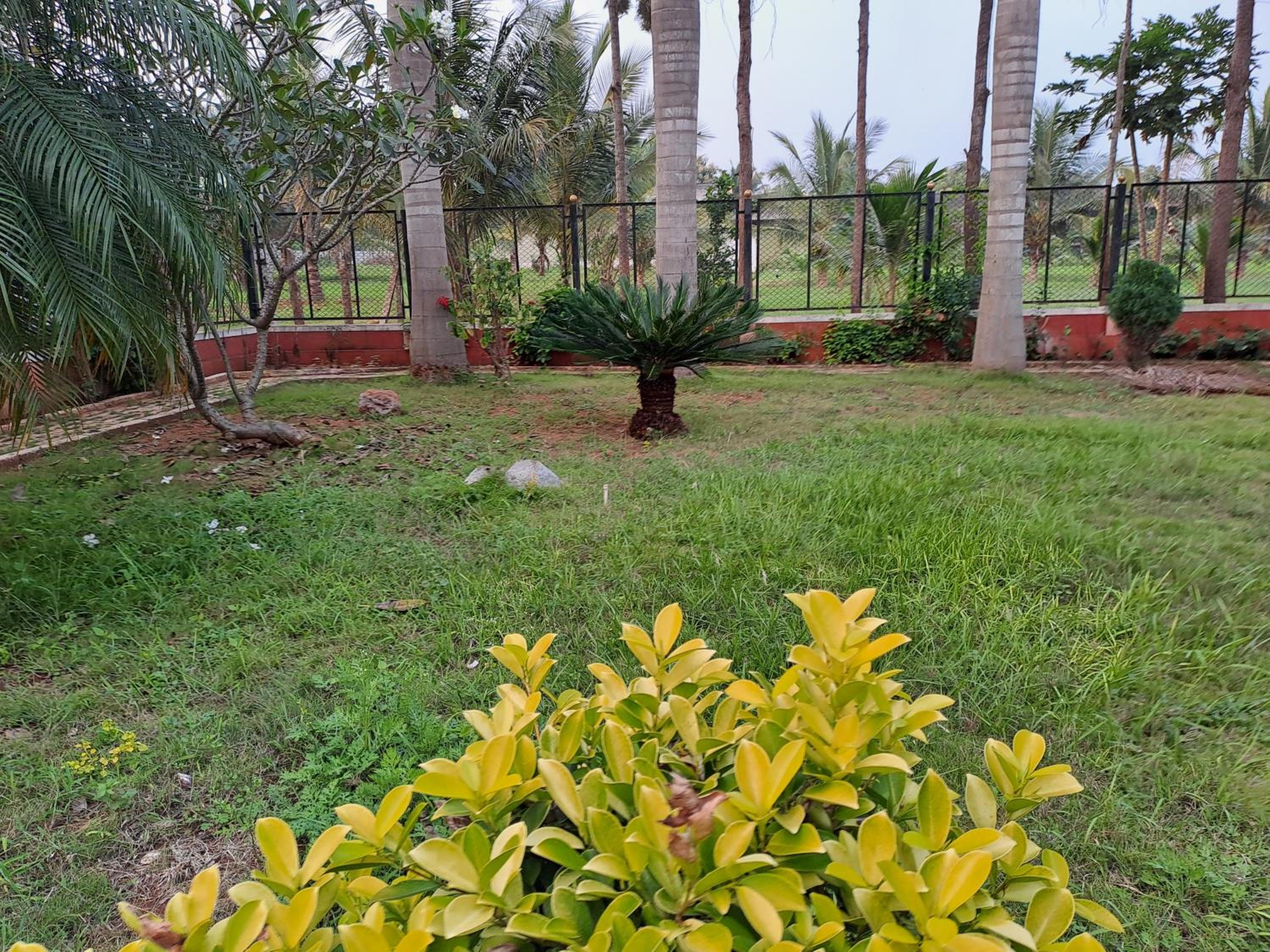Photo 35
