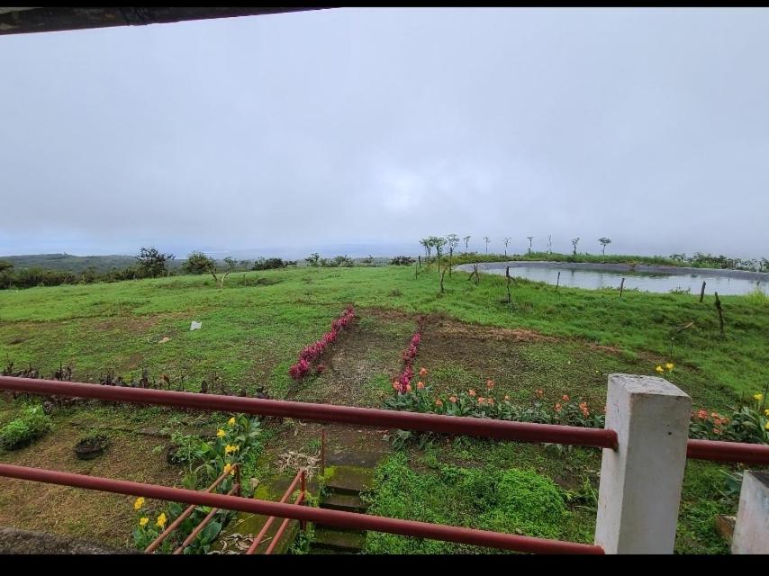 Brisas del Junco