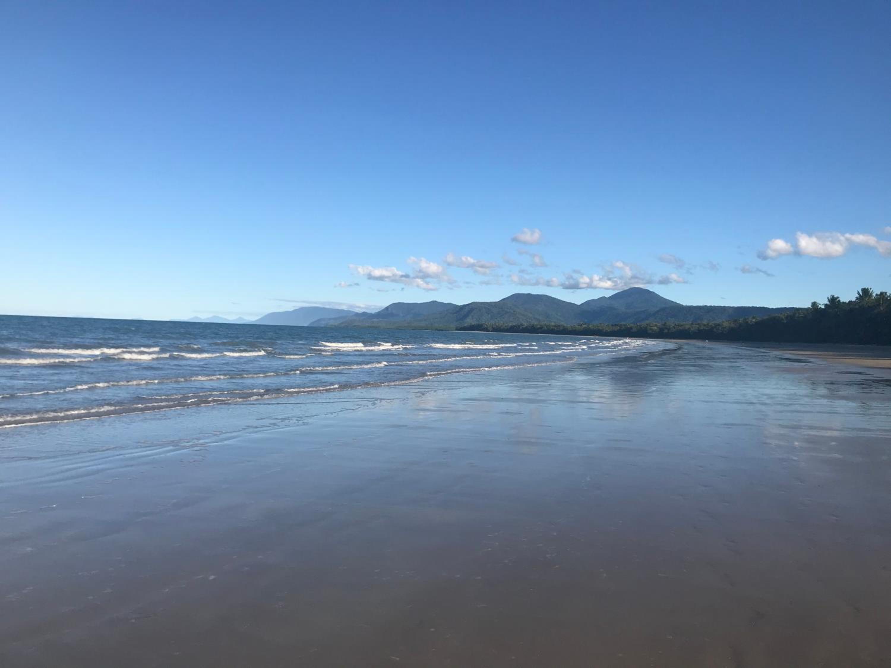 Chez Brolga