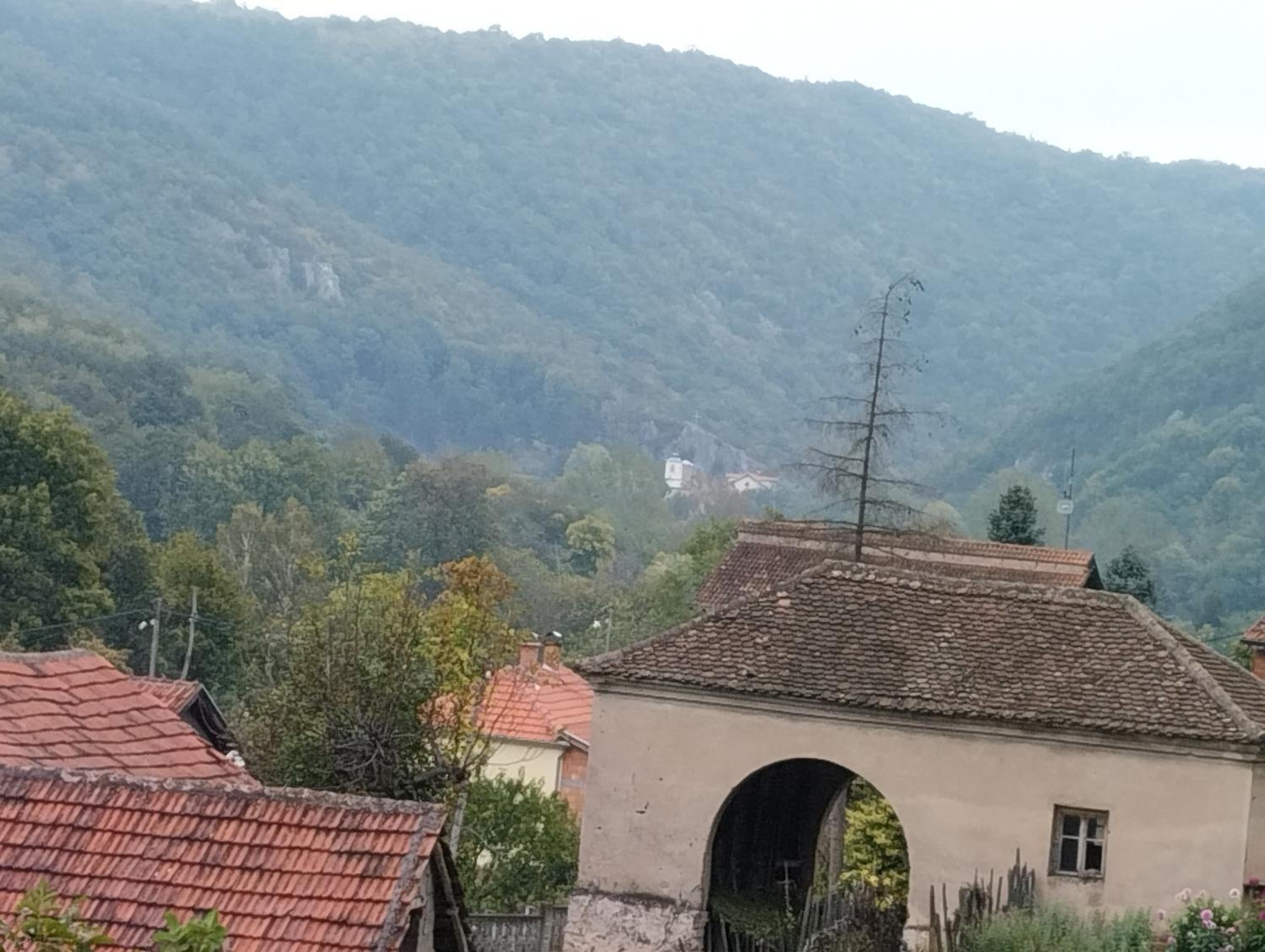 Vitovnicki Mir