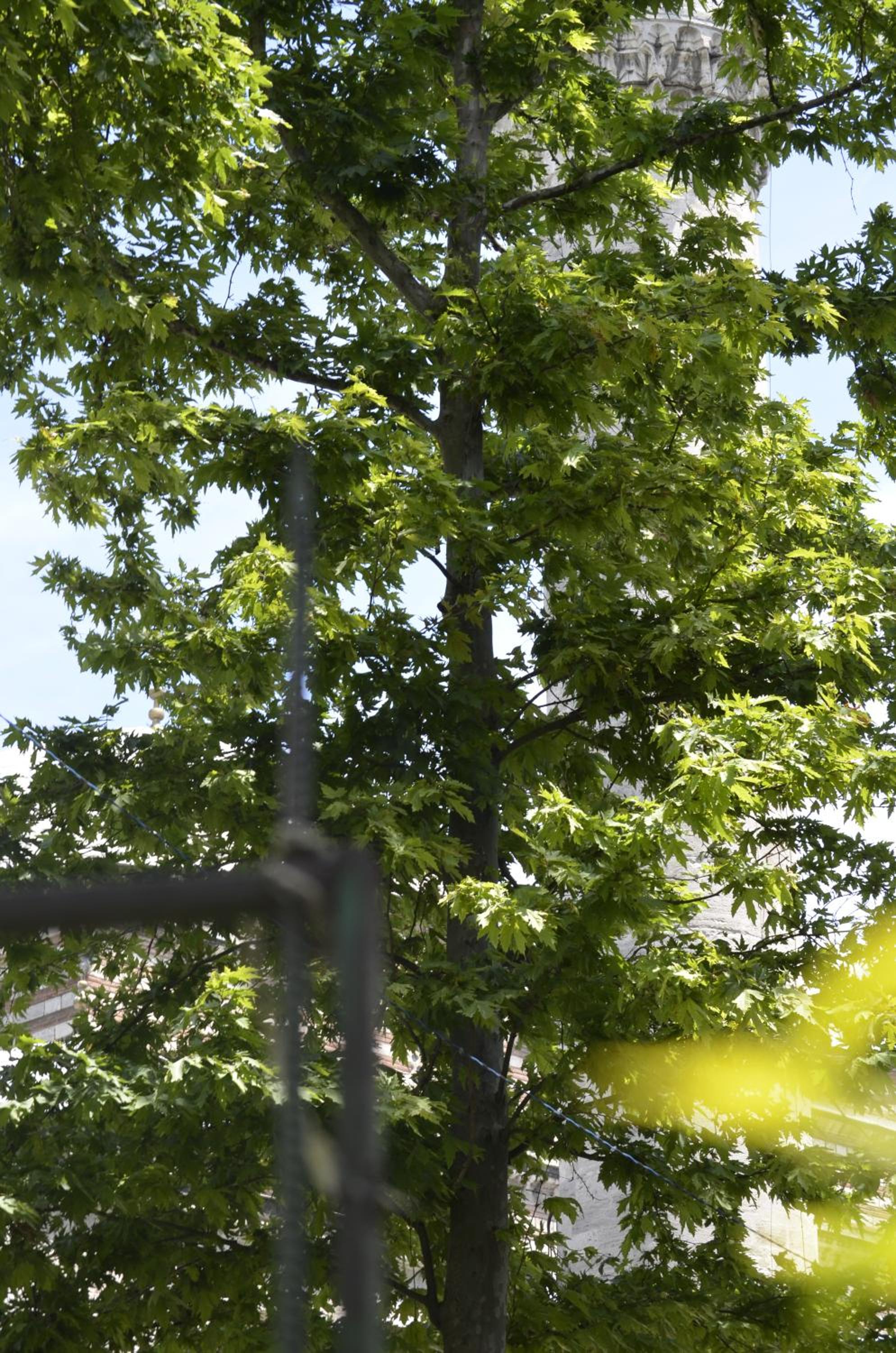 Ekol Otel - Image 120