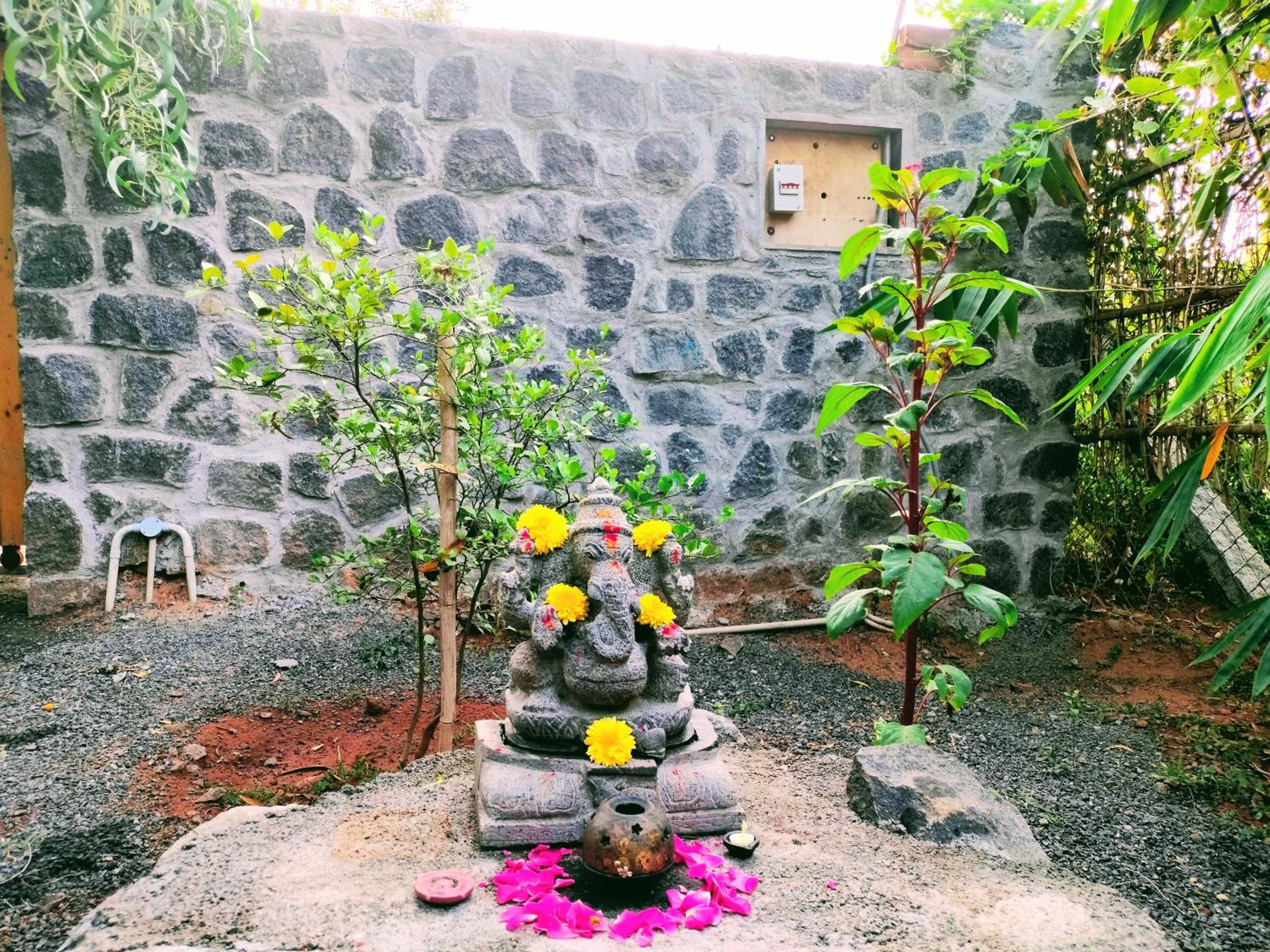 Entire Hidden Haven in Auroville amidst nature! view 4