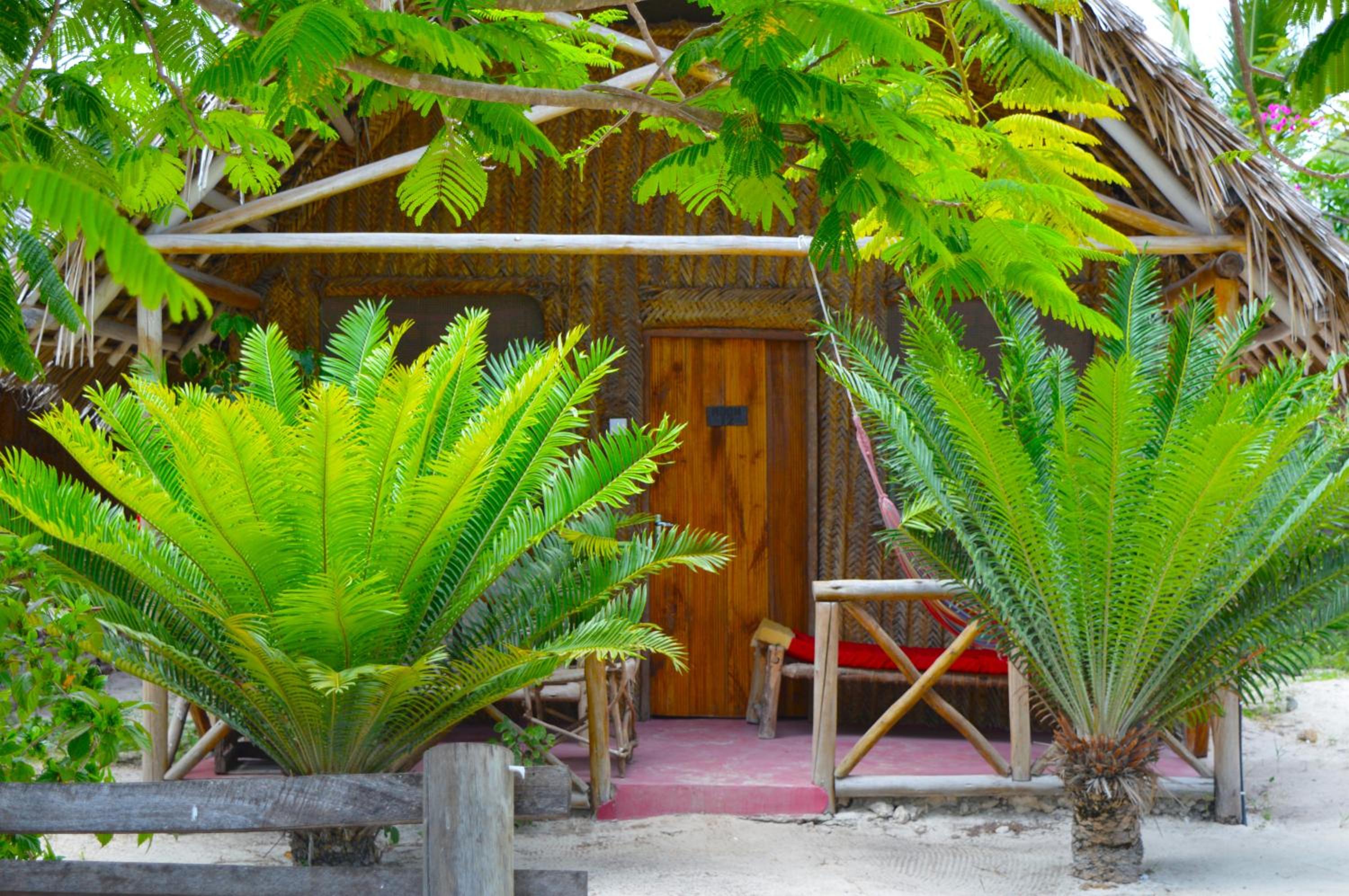 Photo 50