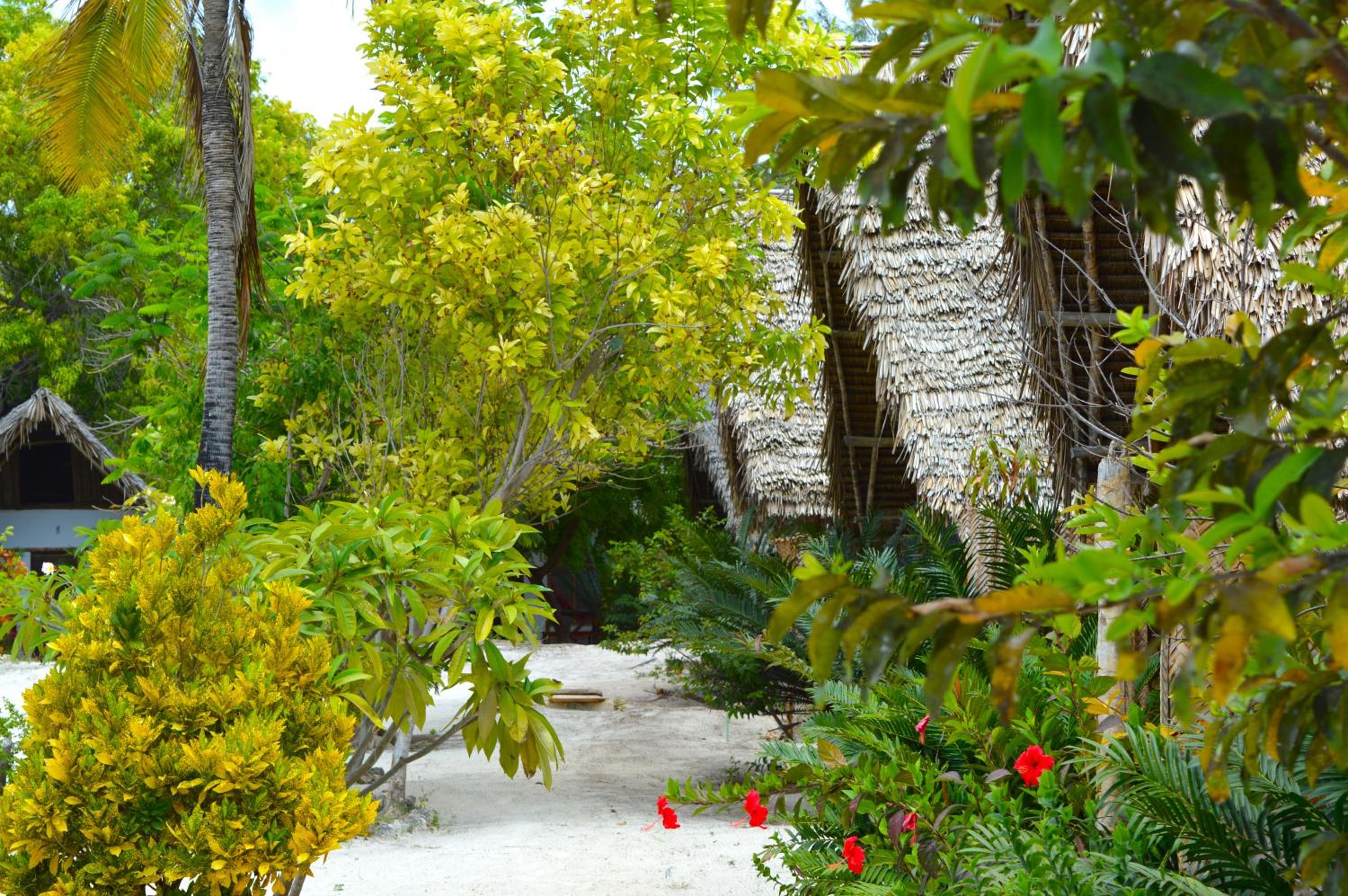 New Jambo Bungalows view 3