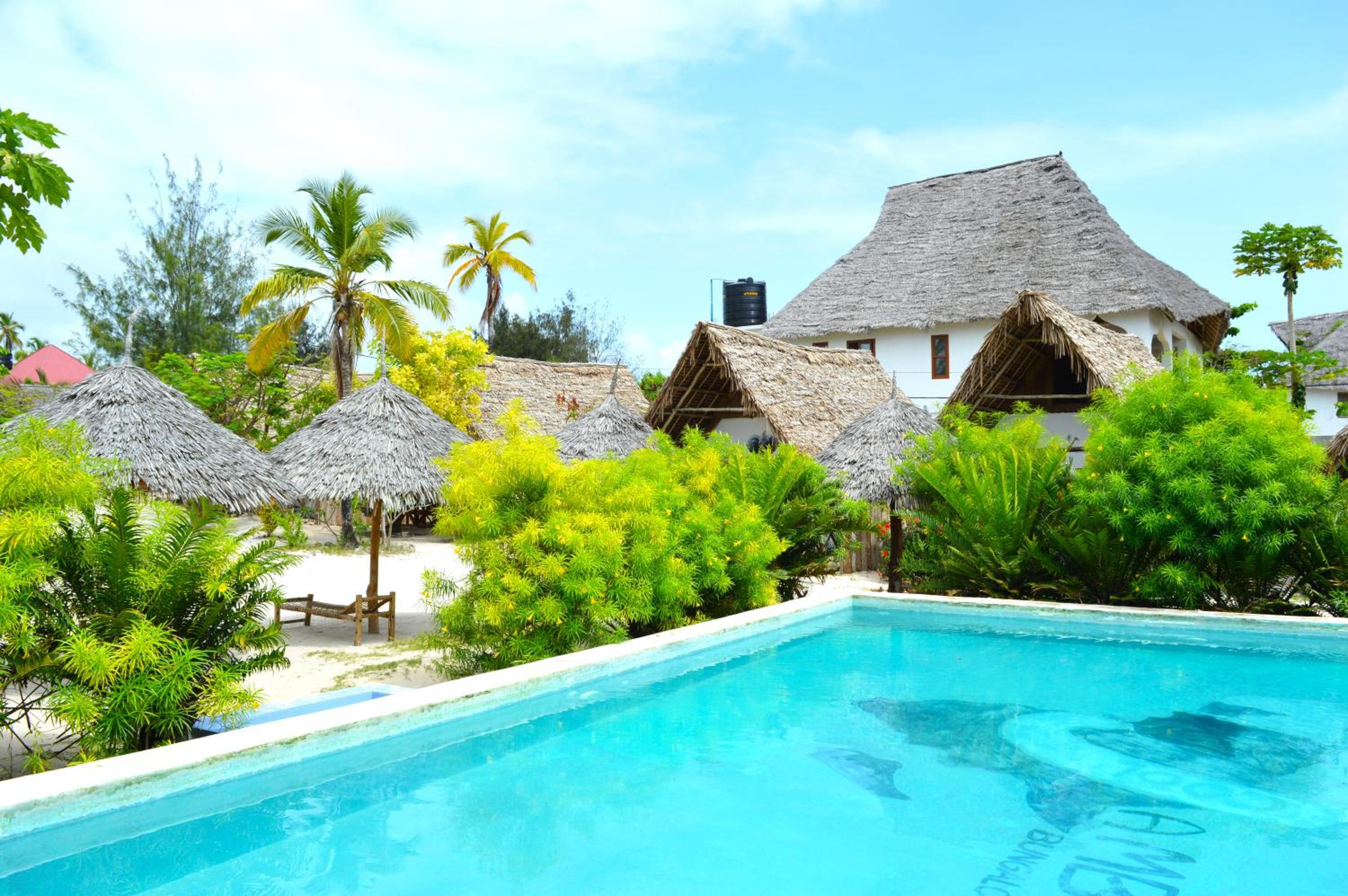 New Jambo Bungalows view 2