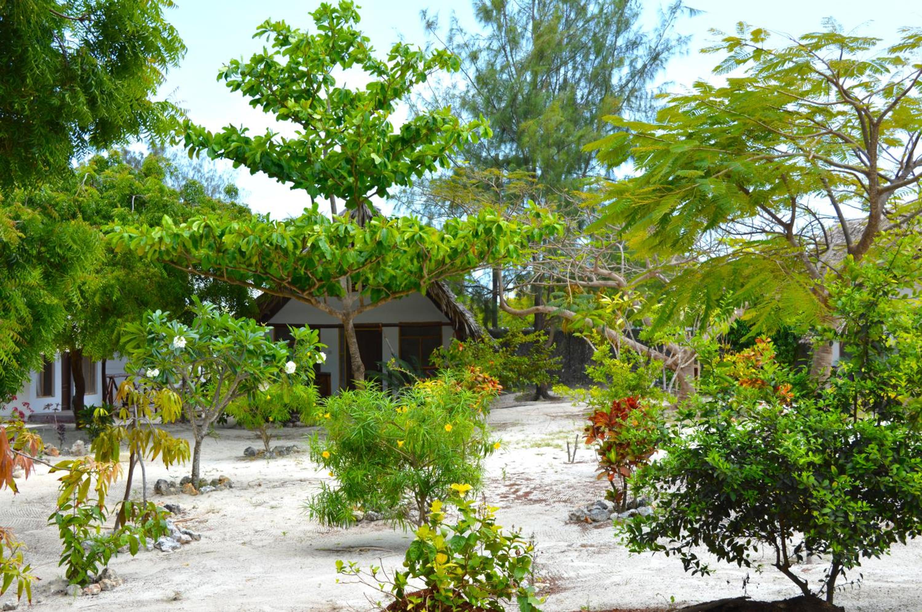 New Jambo Bungalows view 4