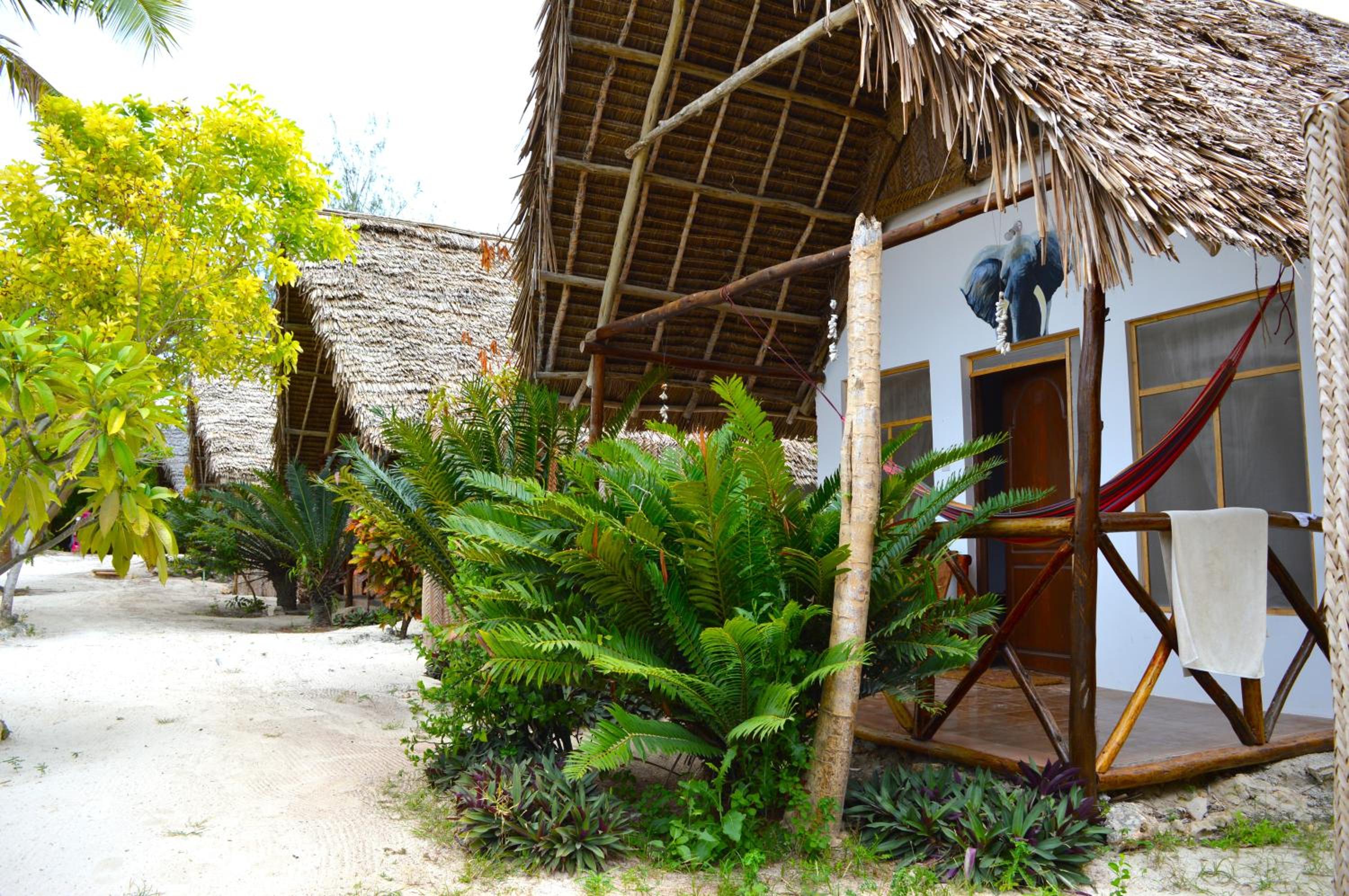 New Jambo Bungalows view 5