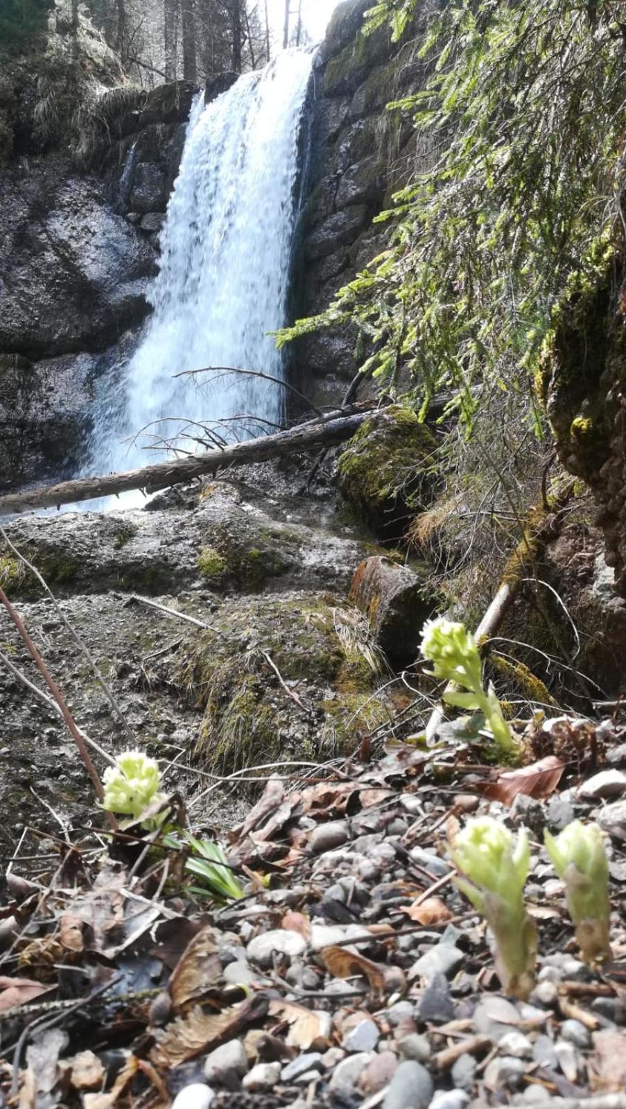 FeWo Alpenfreude mit Hallenbad