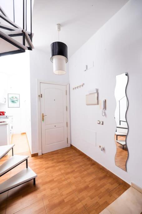 Shiny Alamos Super Family Studio