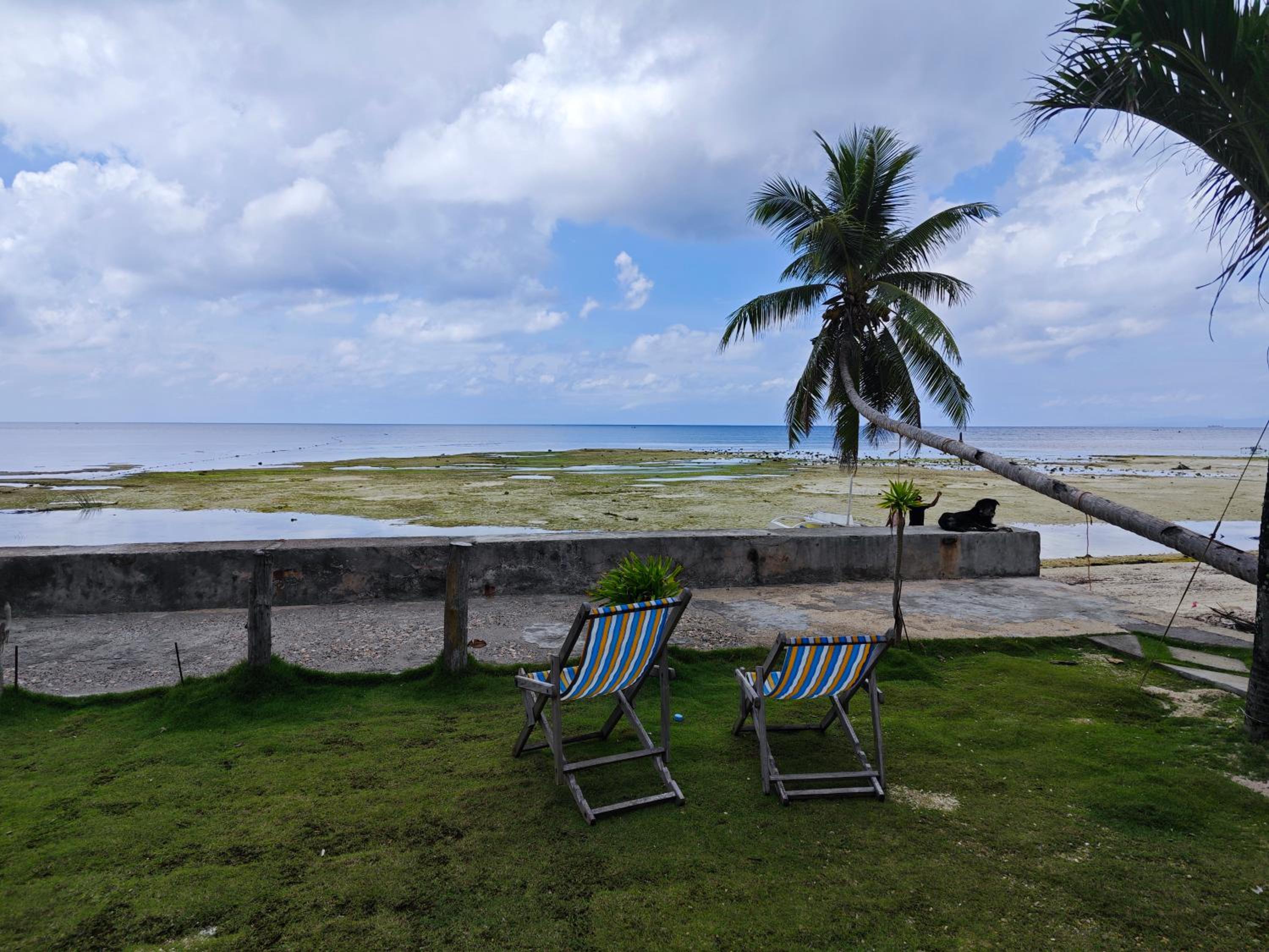 Room-Cola Inn view 2