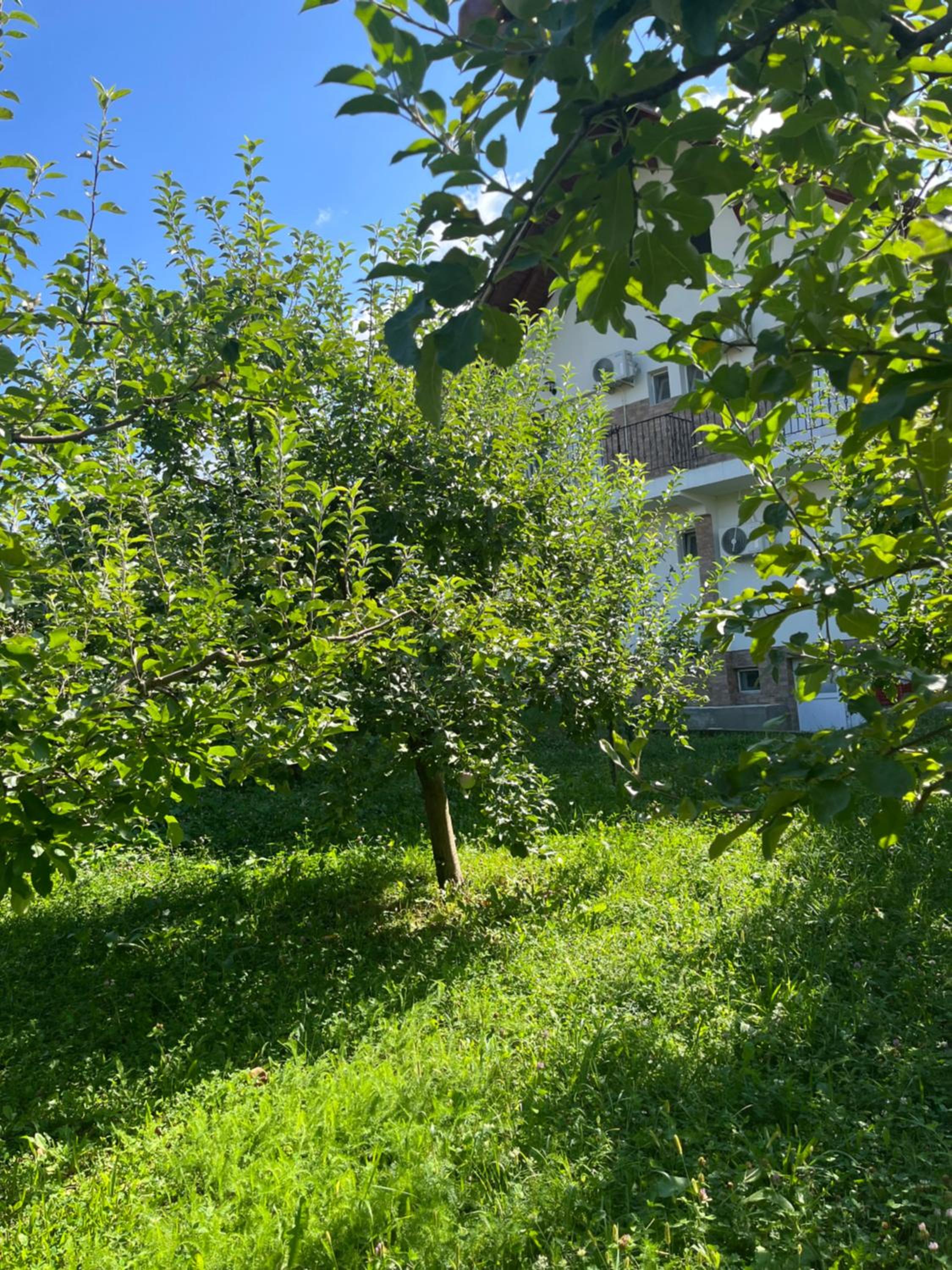 Photo 63