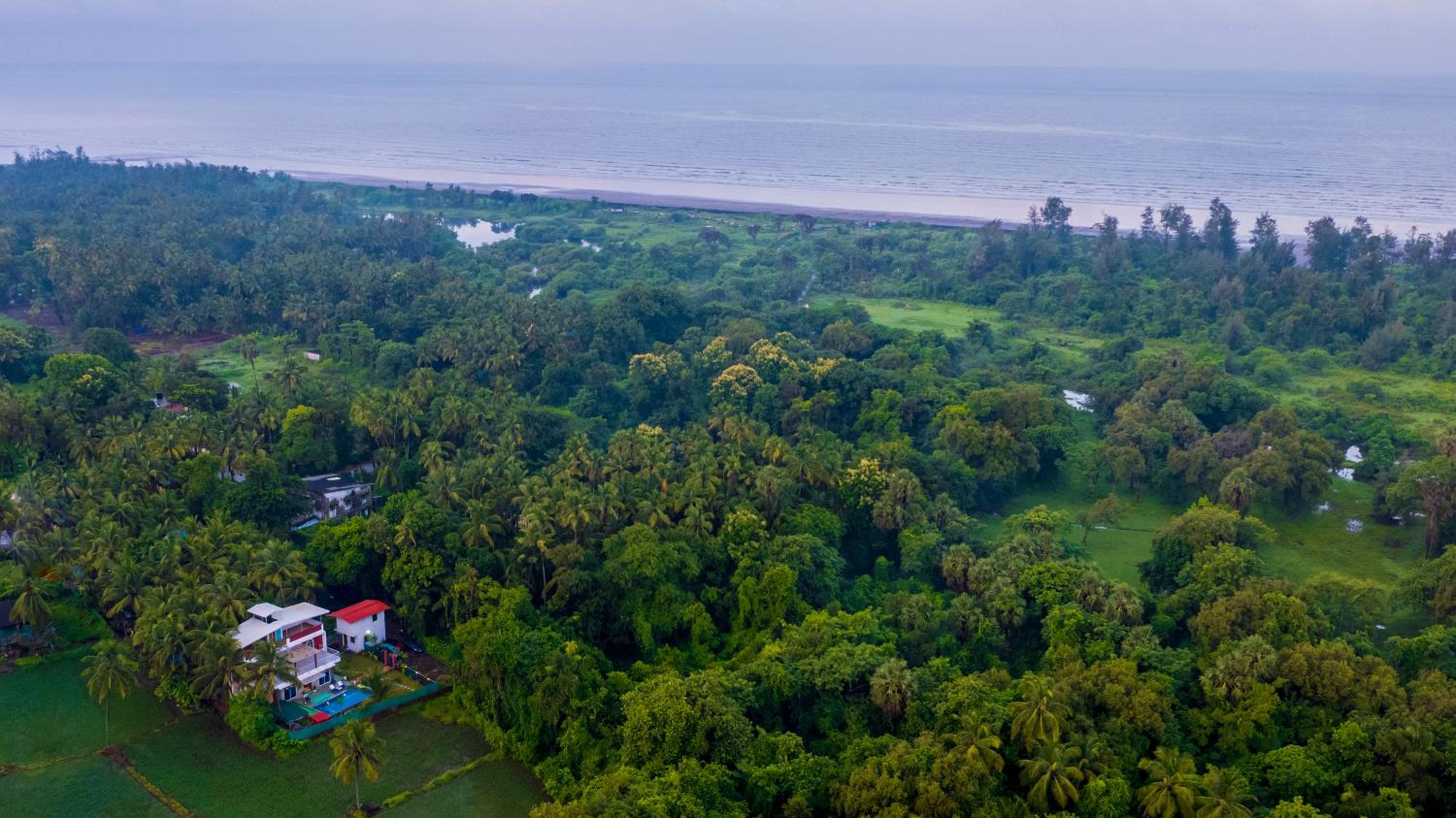 Spicy Mango Villa Elegano - Luxurious Villa Near Nagaon Beach, Alibag view 3
