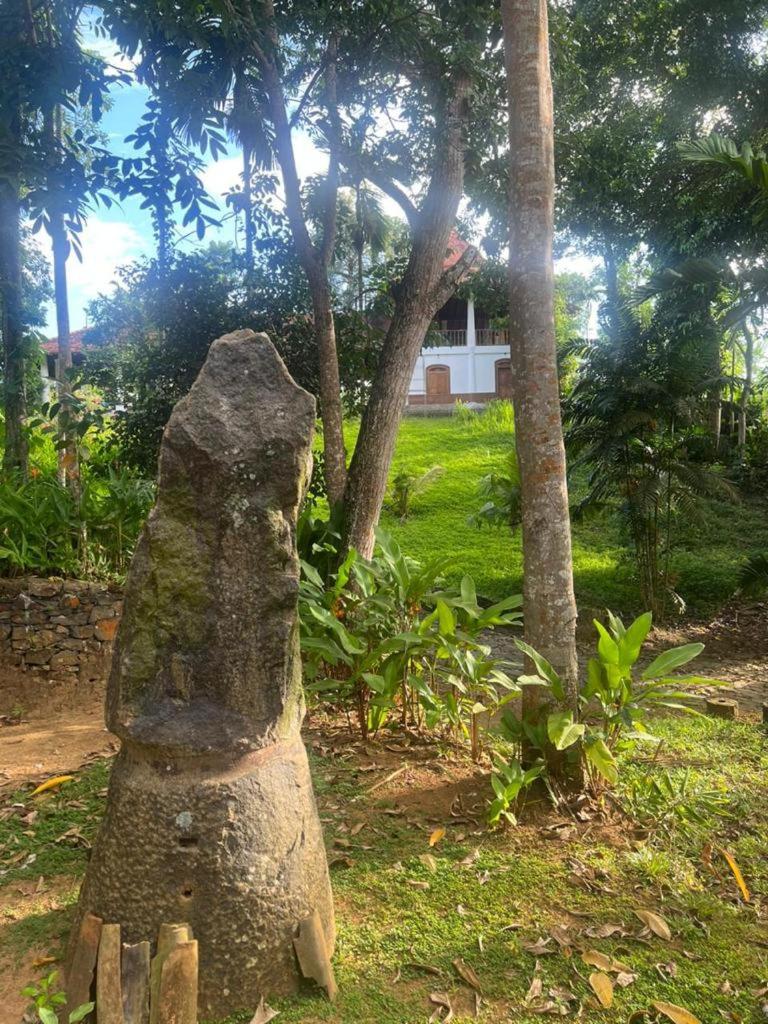 Soul Island Villa Galle view 3